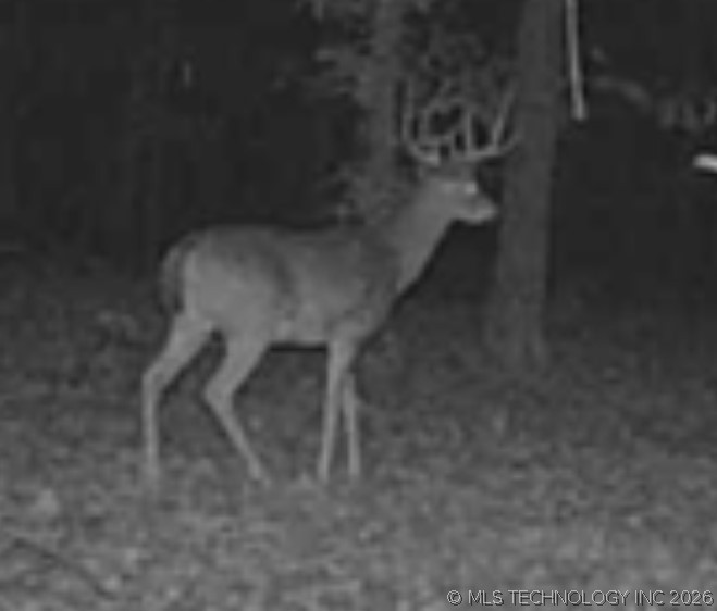 12682 E 540 Kansas OK 74347