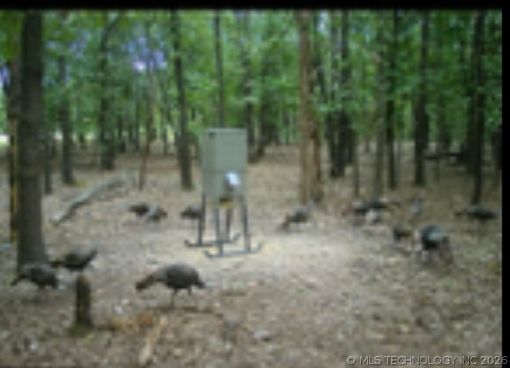 12682 E 540 Kansas OK 74347