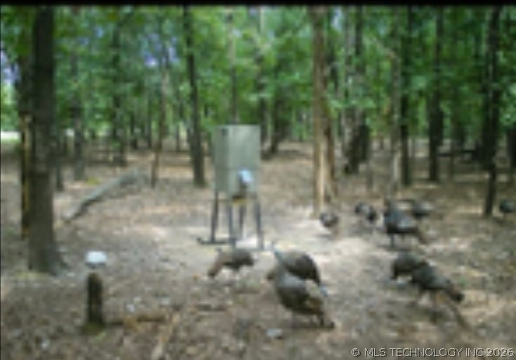 12682 E 540 Kansas OK 74347