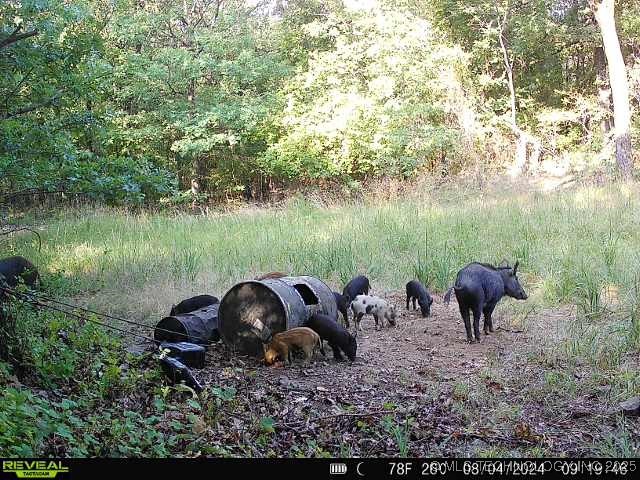 1 Durant Hill Road Poteau OK 74953