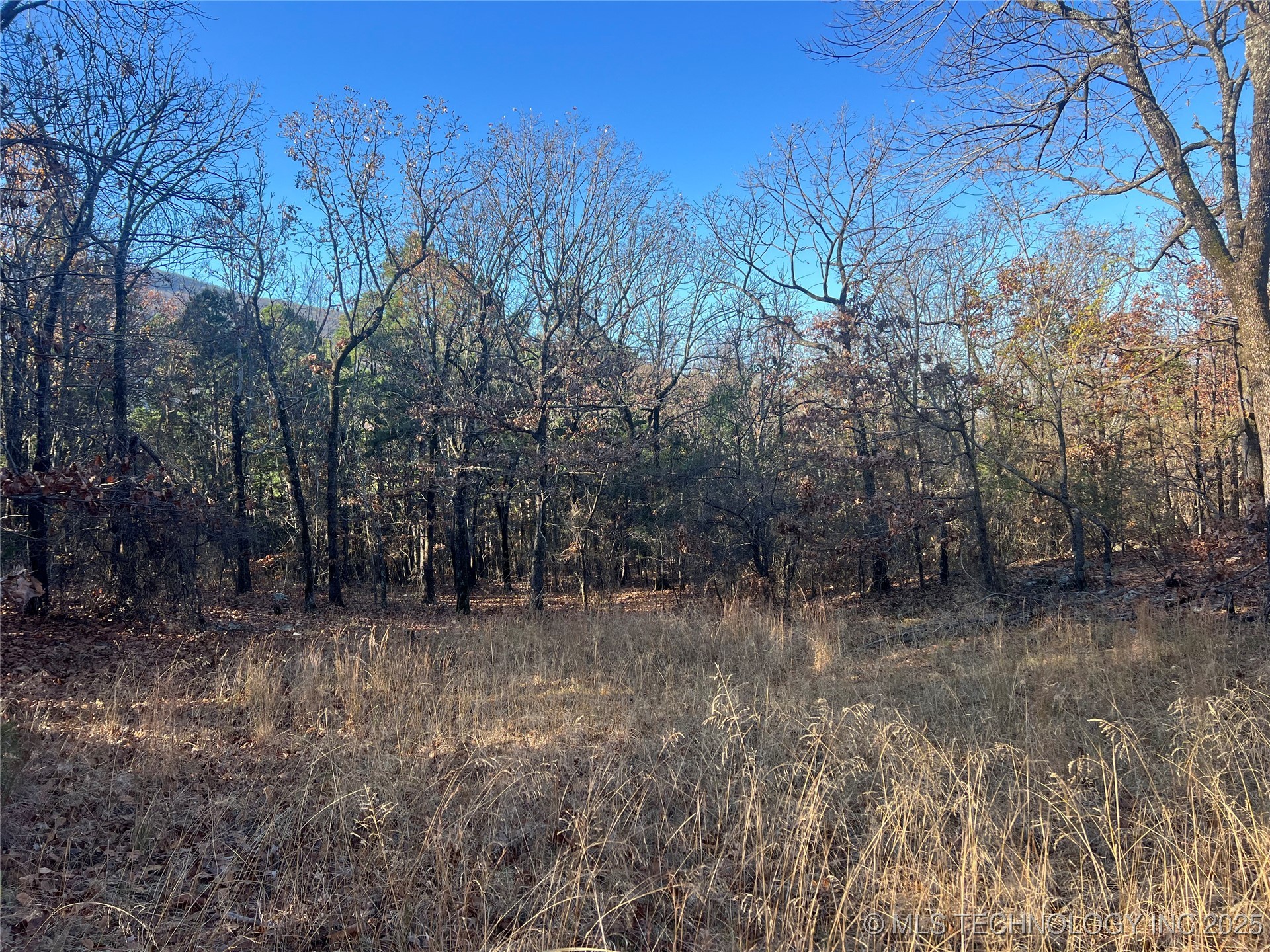 1 Durant Hill Road Poteau OK 74953