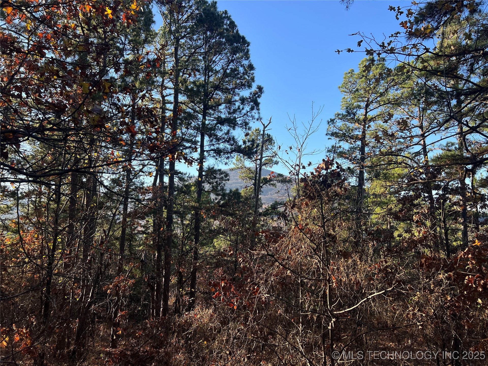 1 Durant Hill Road Poteau OK 74953