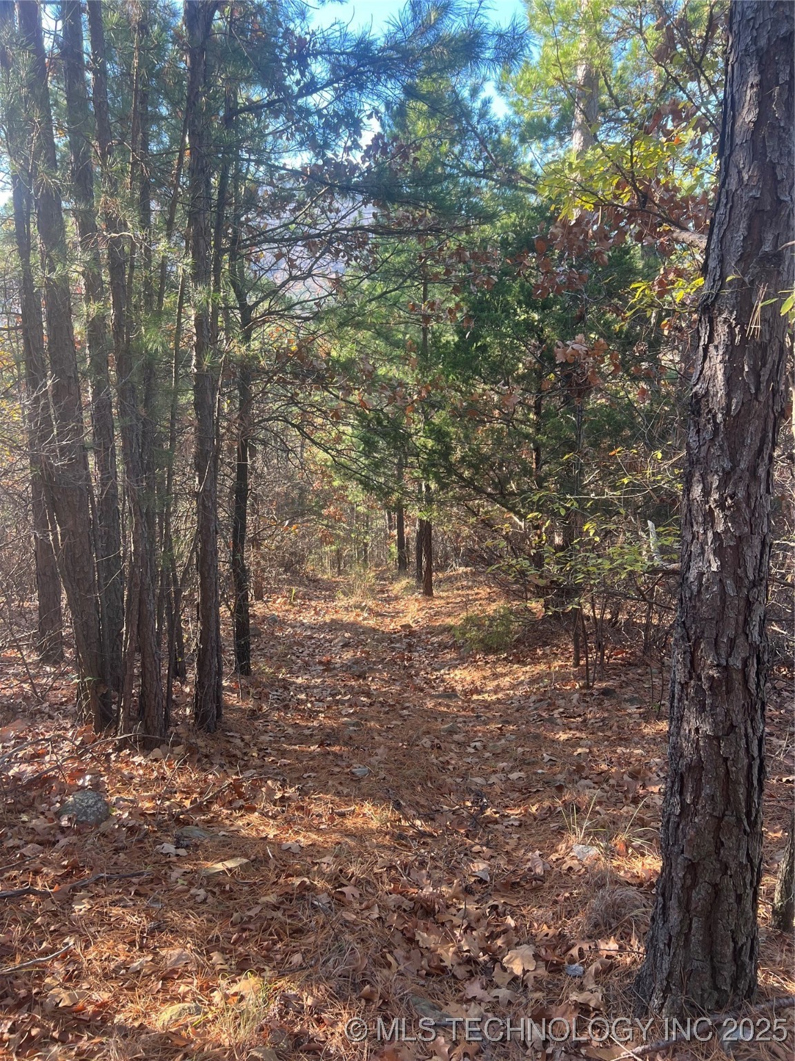 1 Durant Hill Road Poteau OK 74953