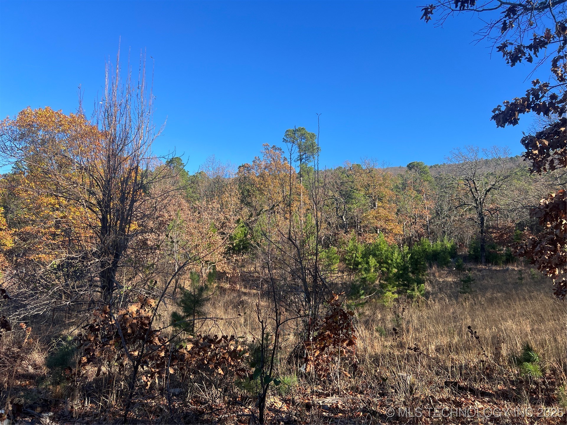 1 Durant Hill Road Poteau OK 74953