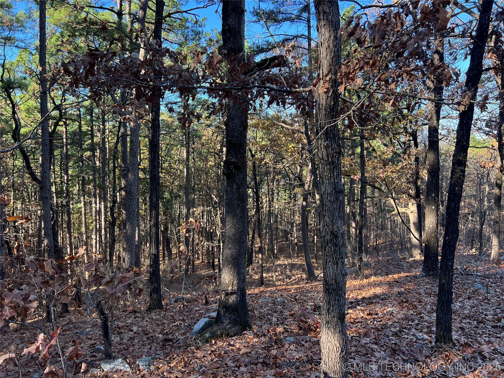 1 Durant Hill Road Poteau OK 74953