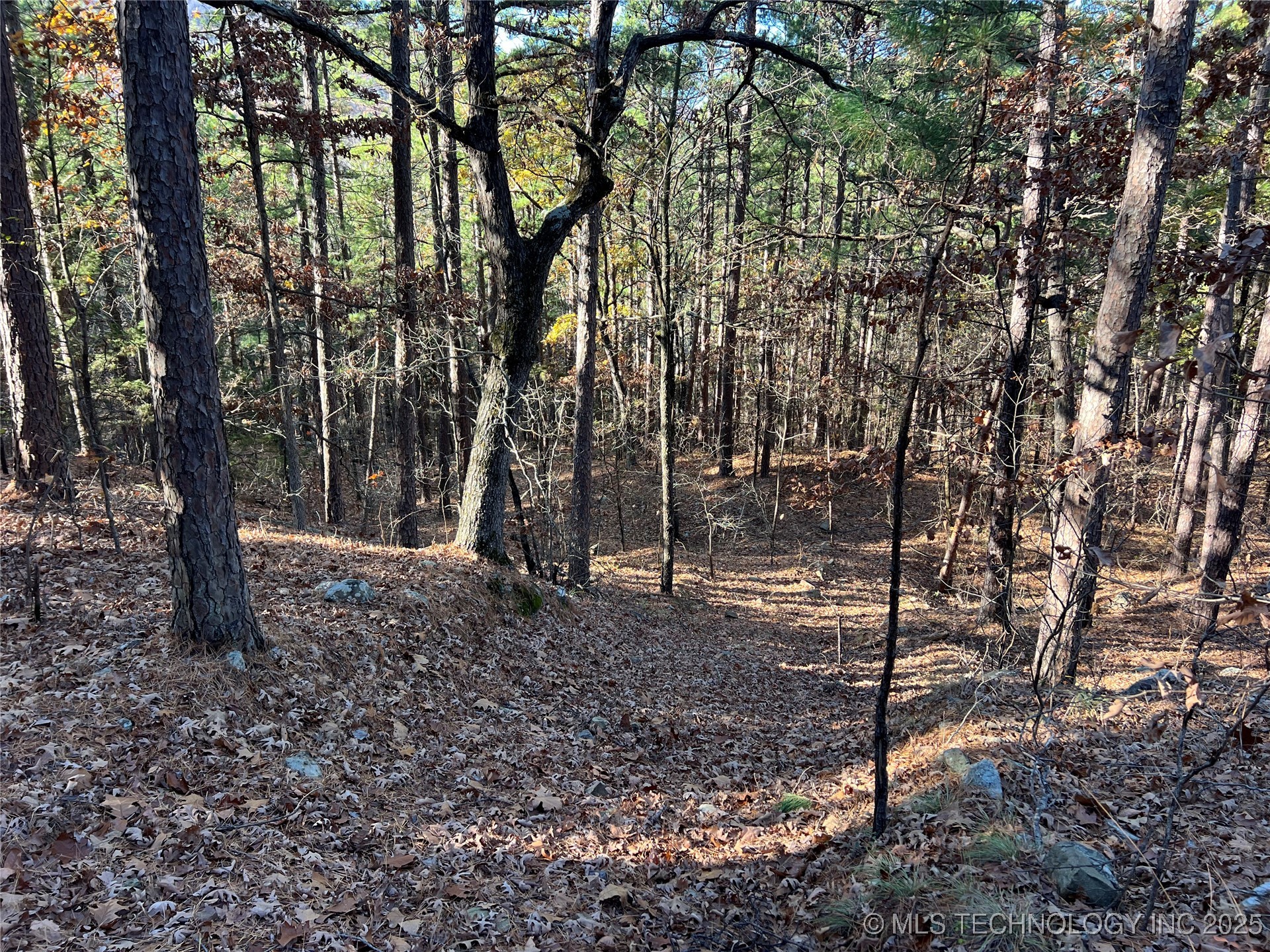 1 Durant Hill Road Poteau OK 74953