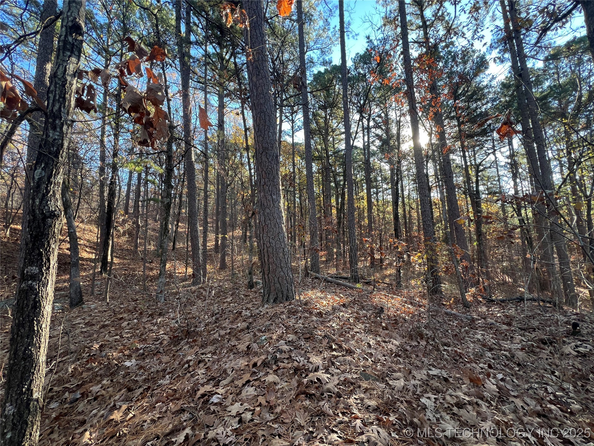 1 Durant Hill Road Poteau OK 74953