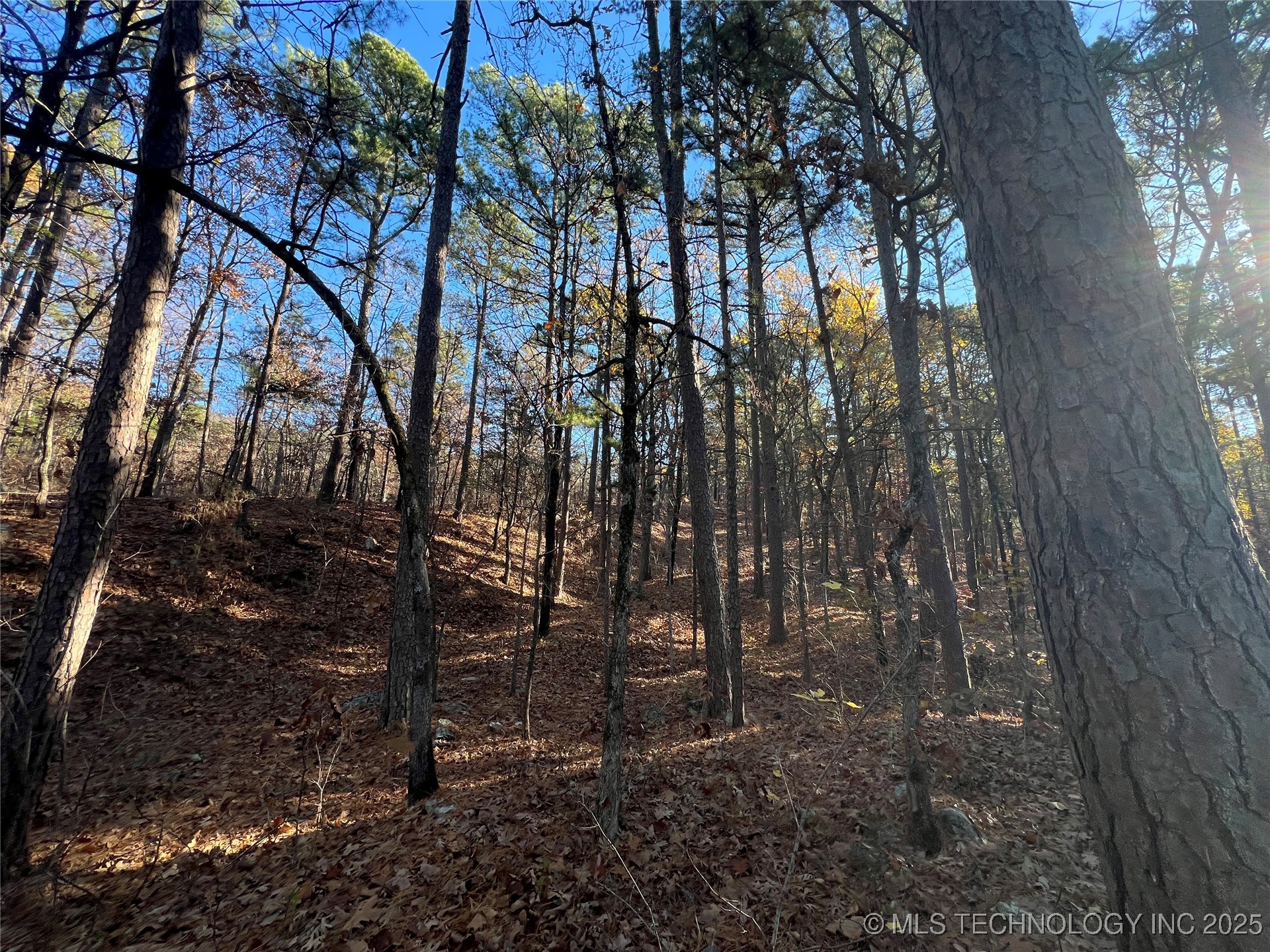 1 Durant Hill Road Poteau OK 74953