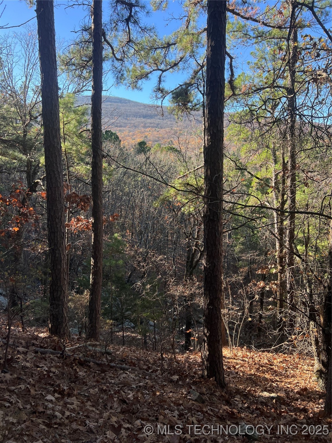 1 Durant Hill Road Poteau OK 74953