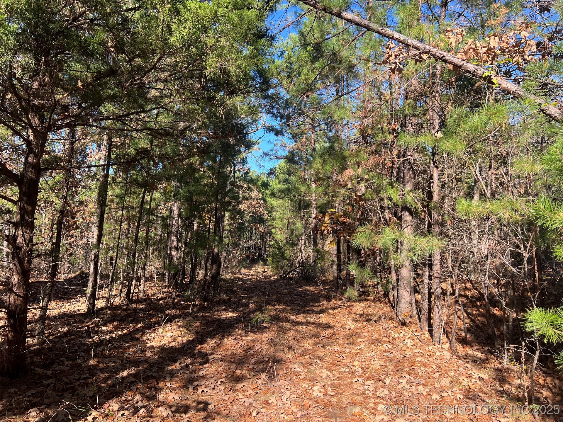 1 Durant Hill Road Poteau OK 74953