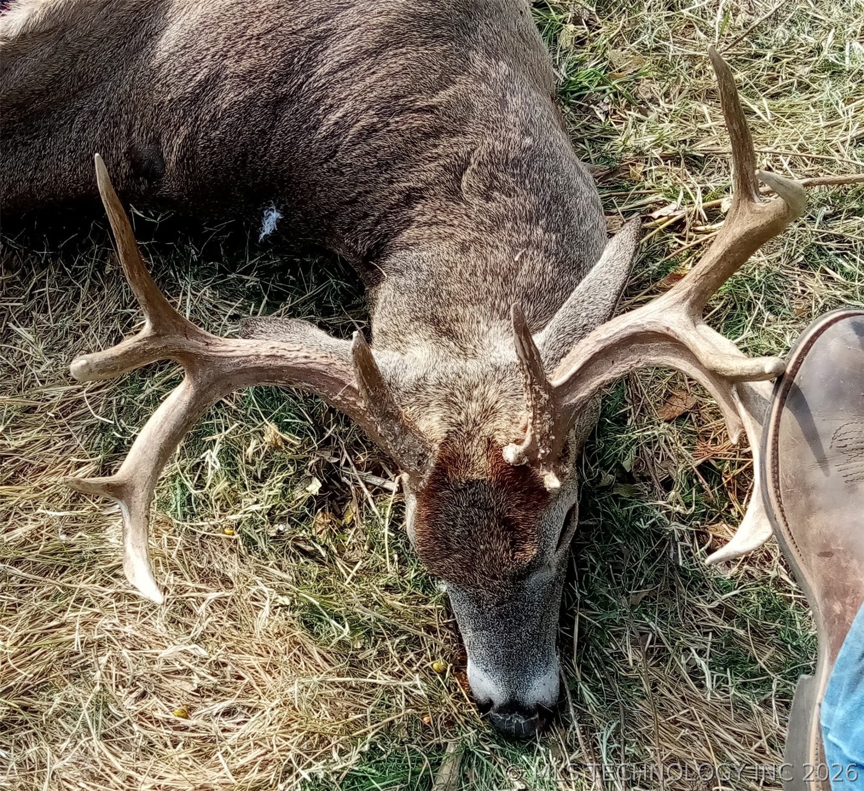 9006 County Road 1650 Roff OK 74865