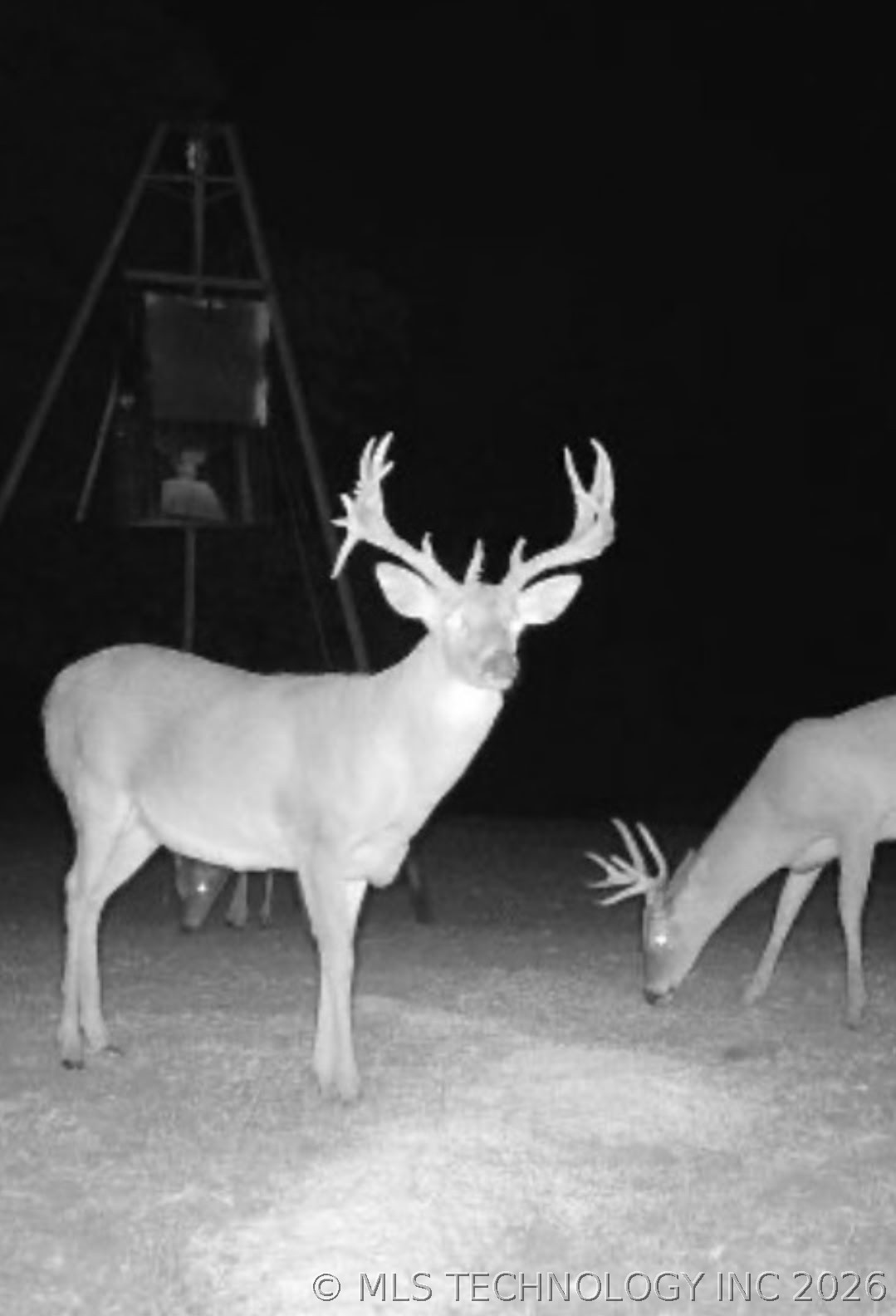 9006 County Road 1650 Roff OK 74865