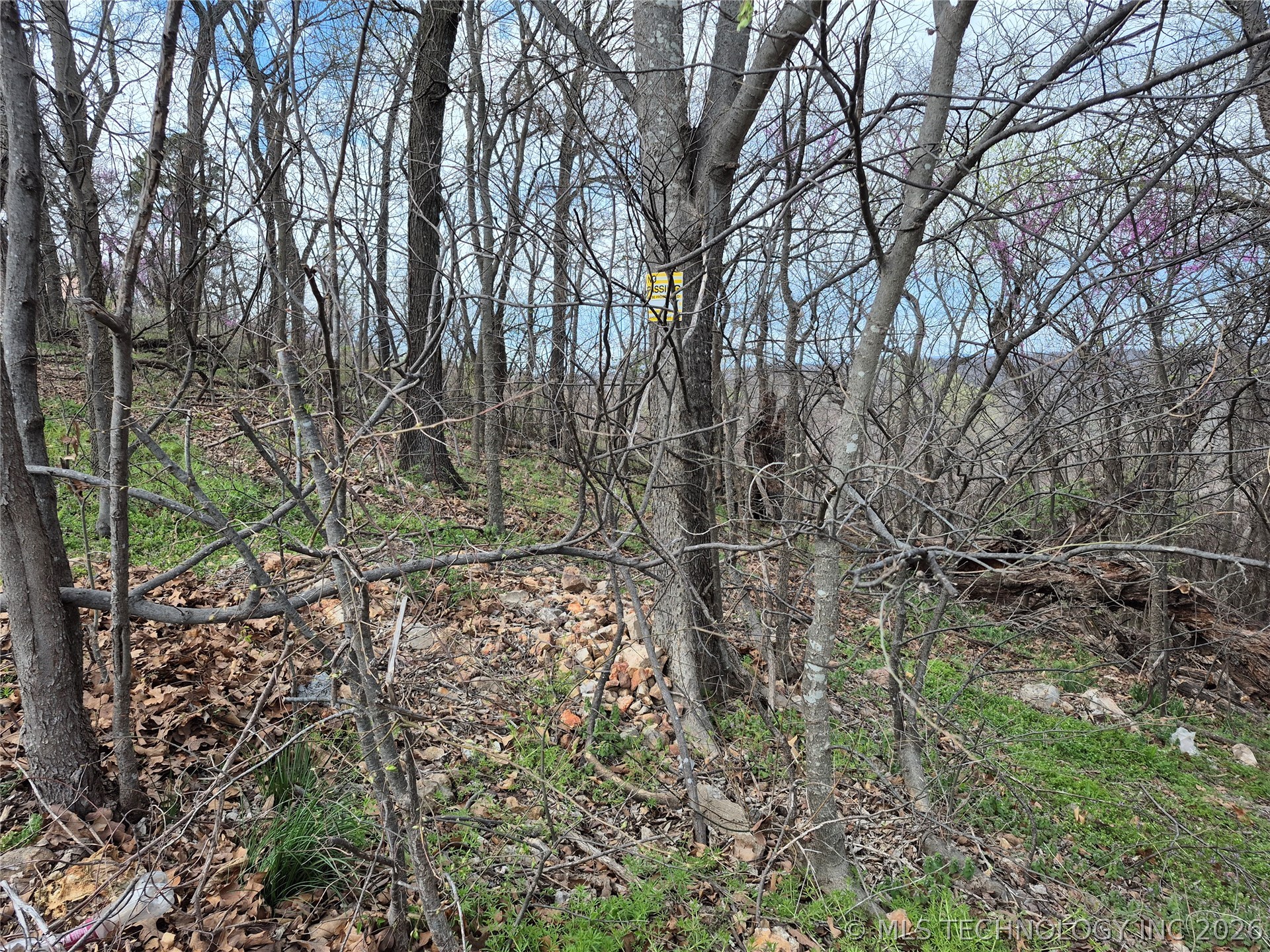 341 E 437 Road Spavinaw OK 74366