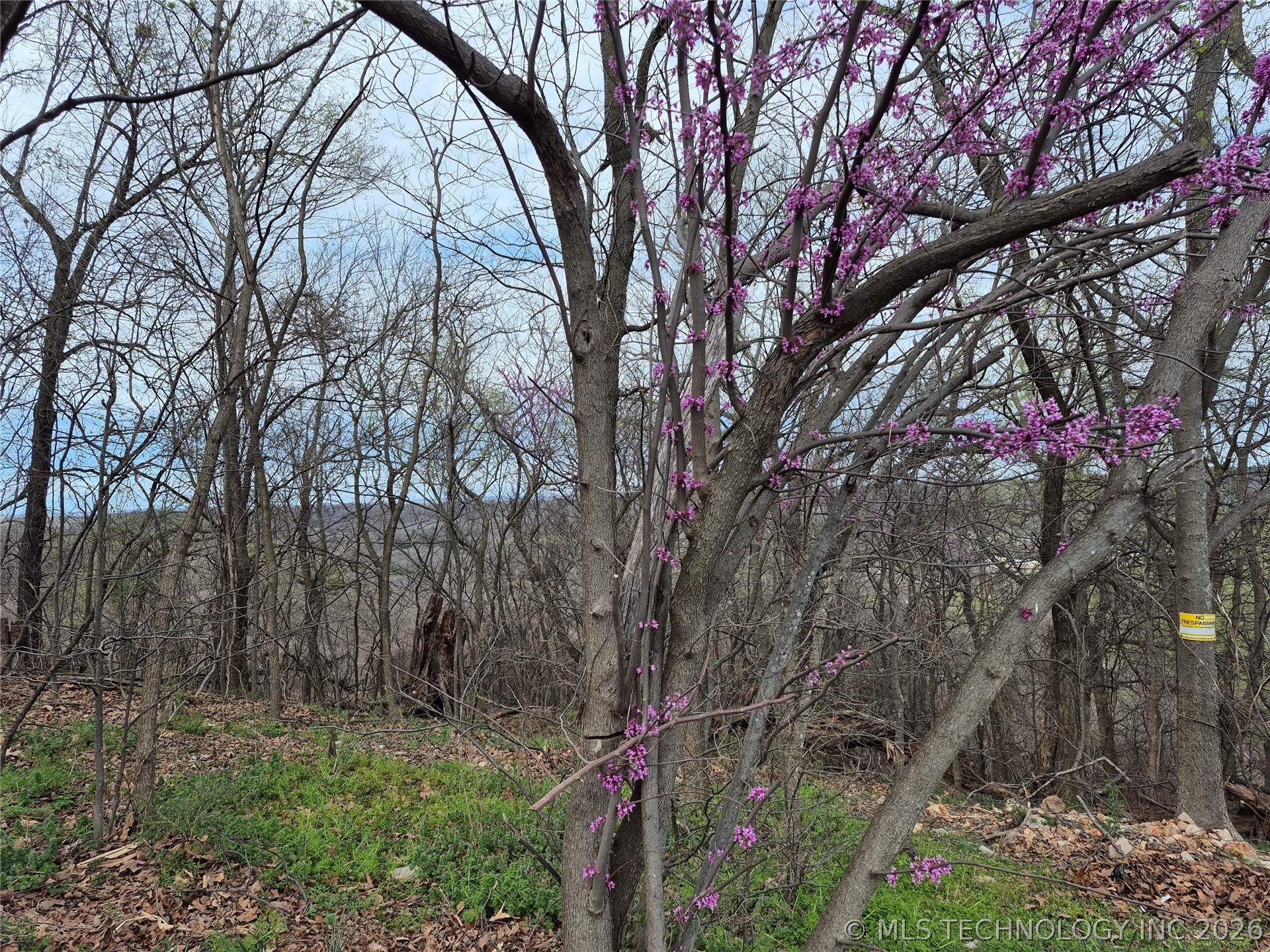 341 E 437 Road Spavinaw OK 74366
