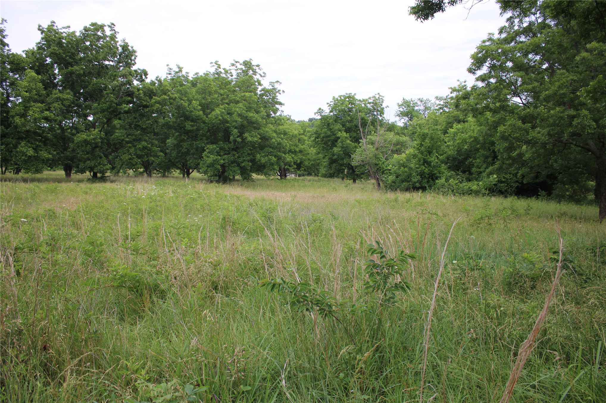 0000 S 426 Road Pryor OK 74361