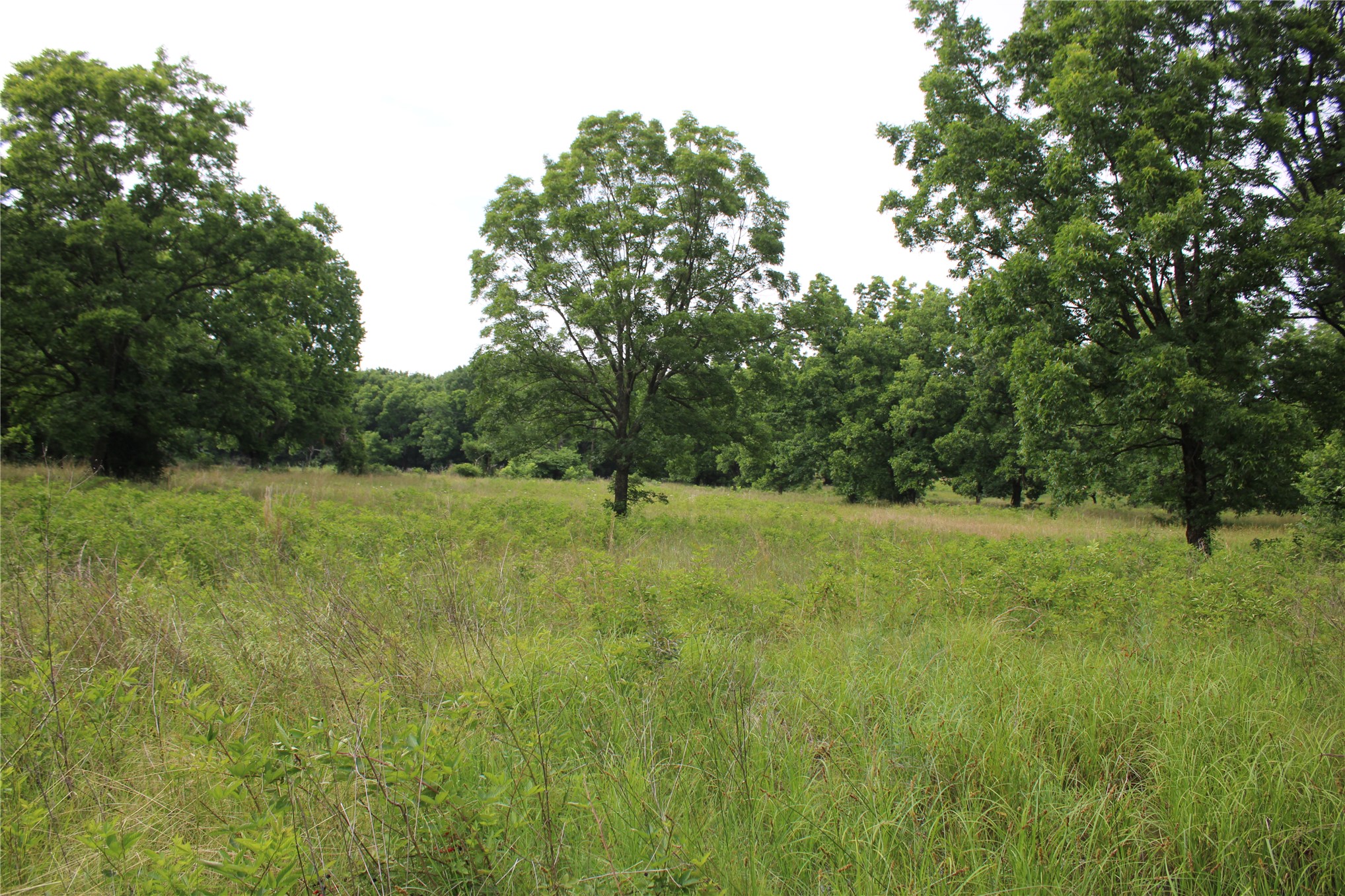 0000 S 426 Road Pryor OK 74361