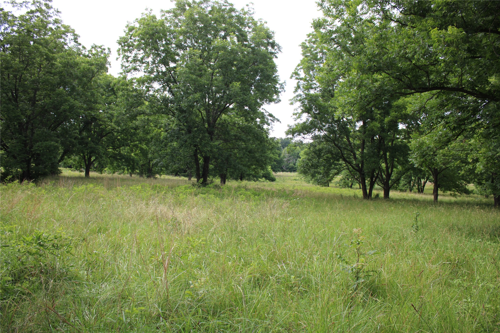 0000 S 426 Road Pryor OK 74361