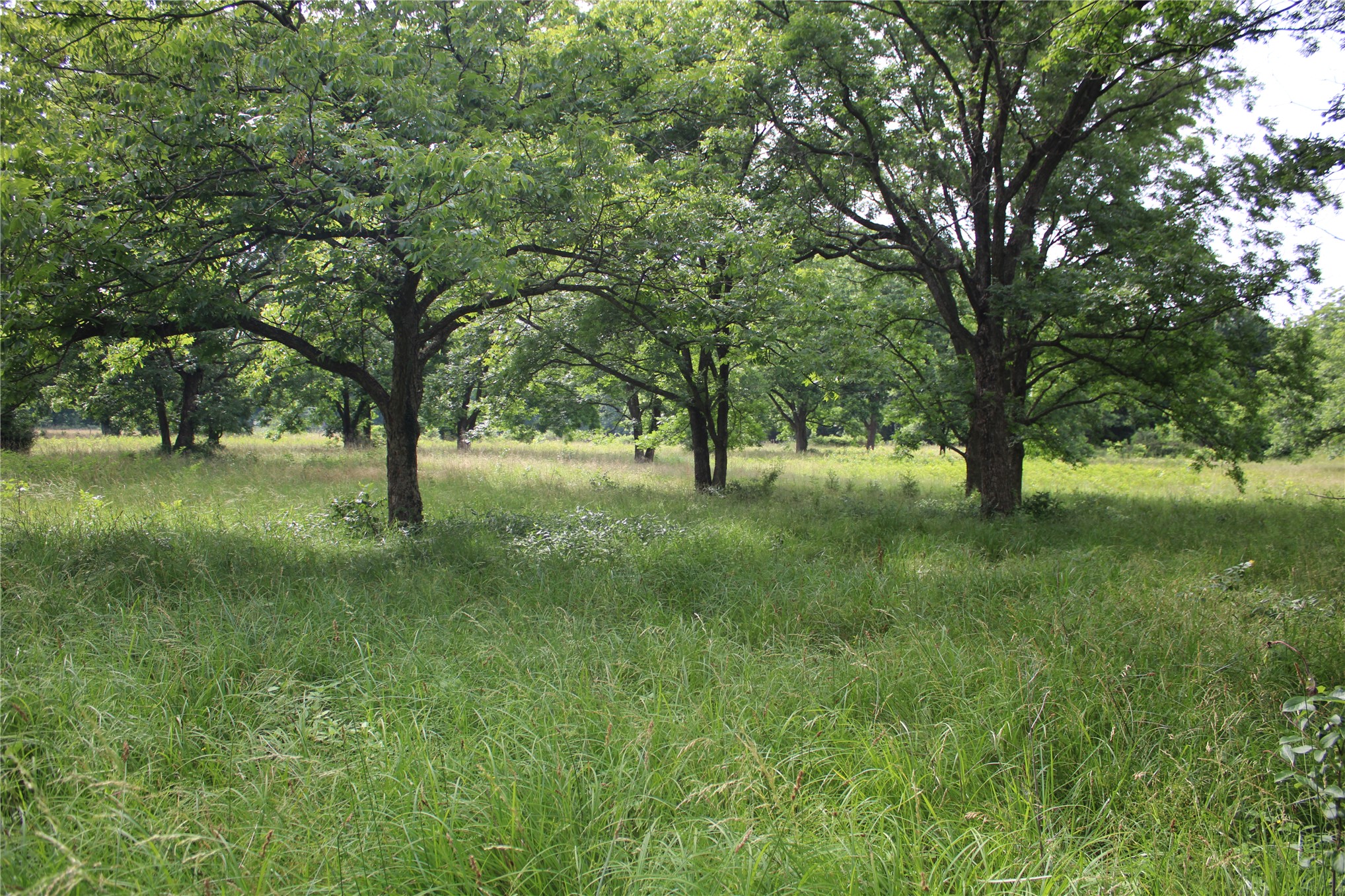 0000 S 426 Road Pryor OK 74361