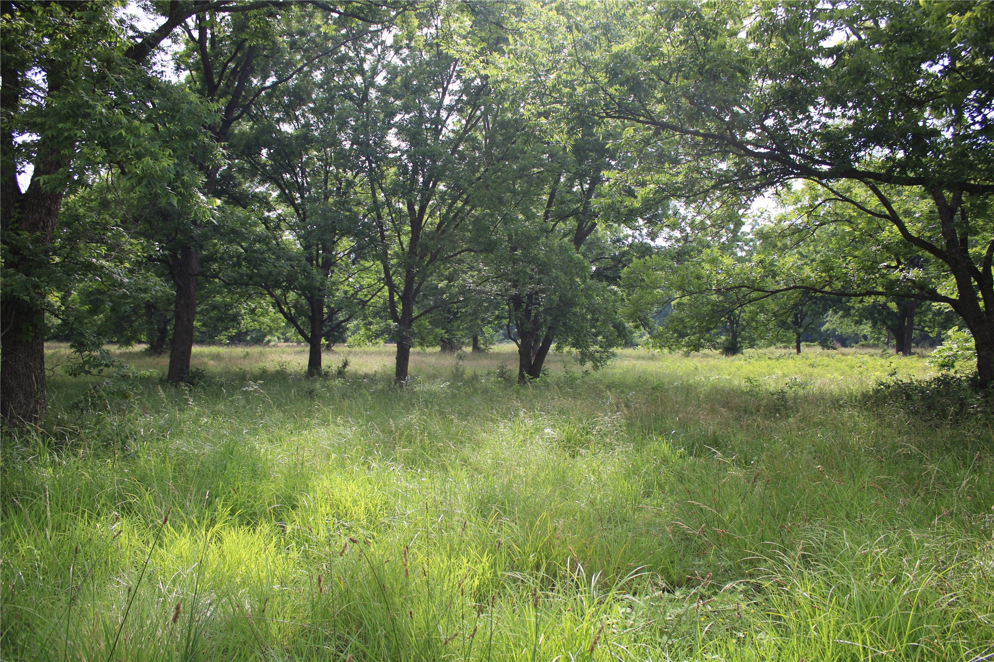 0000 S 426 Road Pryor OK 74361