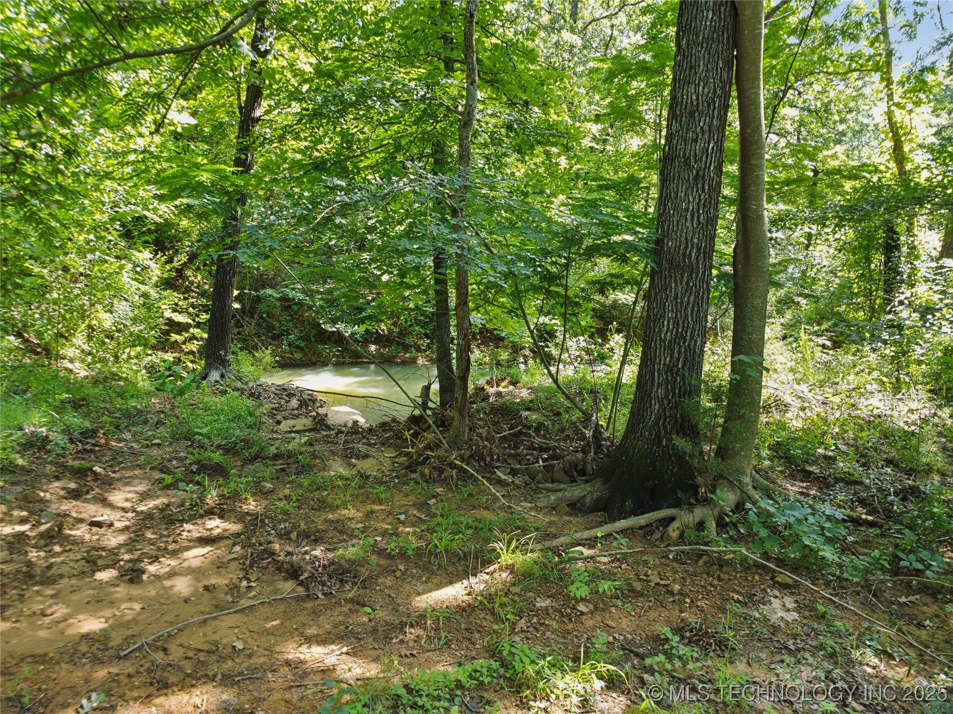 Bristlecone Road Henryetta OK 74438
