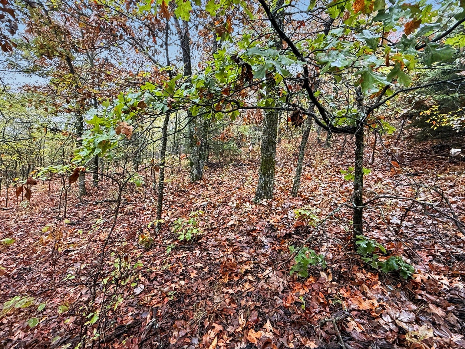 S 4545 Loop Vian OK 74962