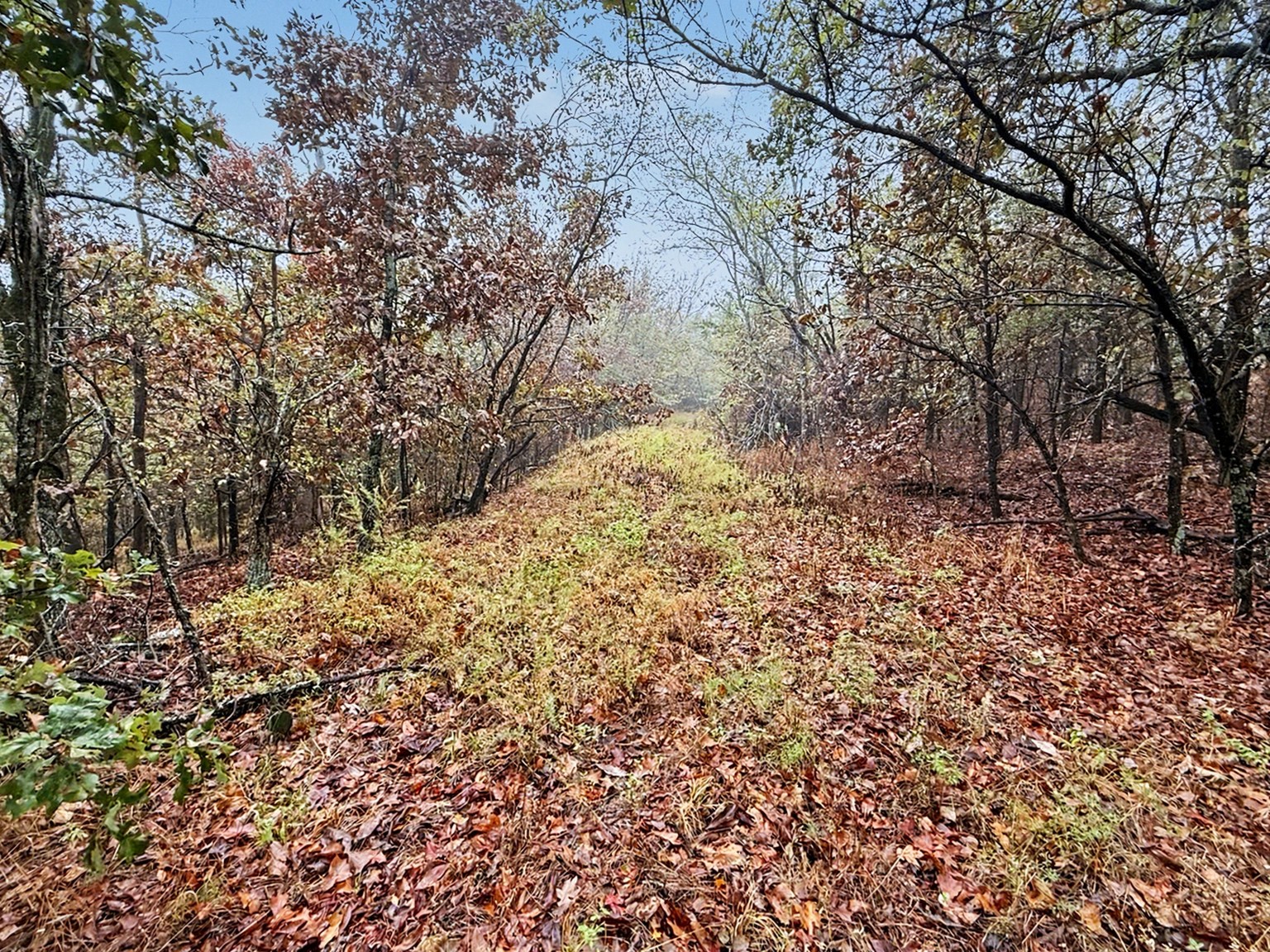 S 4545 Loop Vian OK 74962
