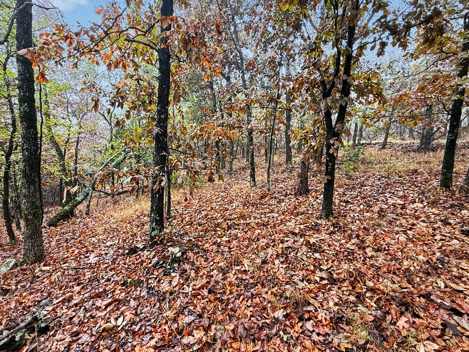 S 4545 Loop Vian OK 74962