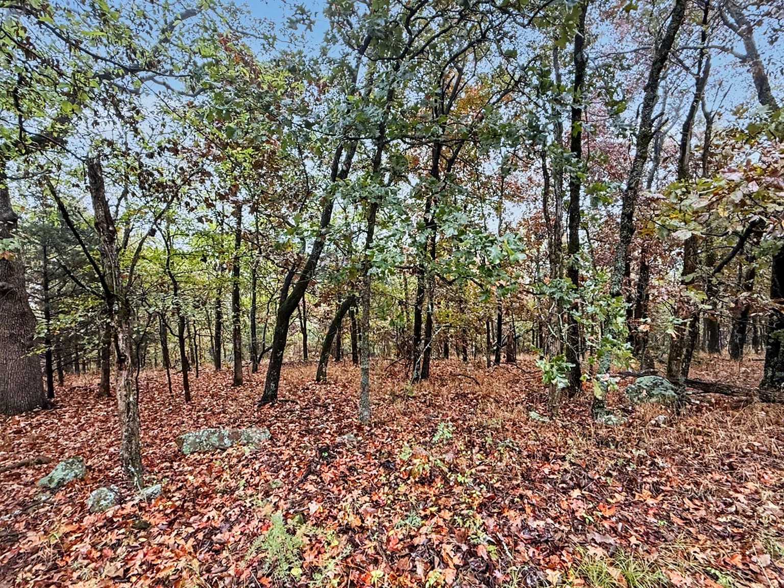 S 4545 Loop Vian OK 74962