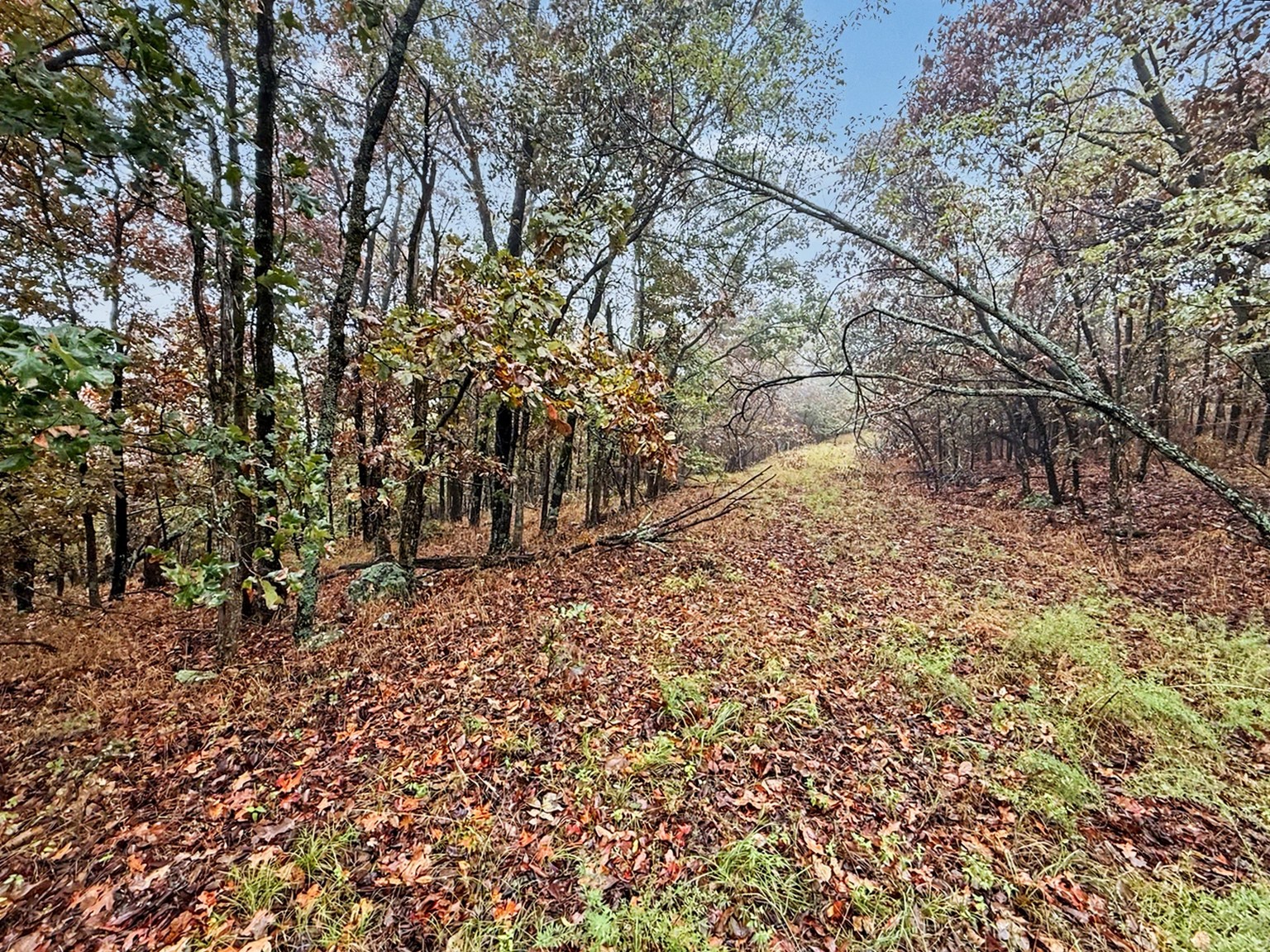S 4545 Loop Vian OK 74962