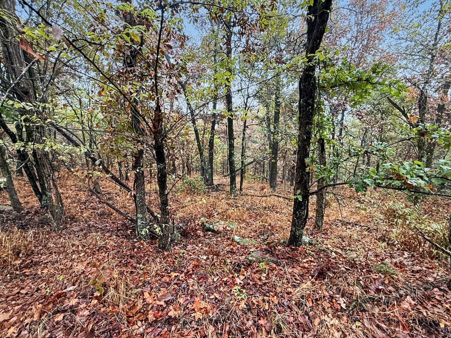 S 4545 Loop Vian OK 74962