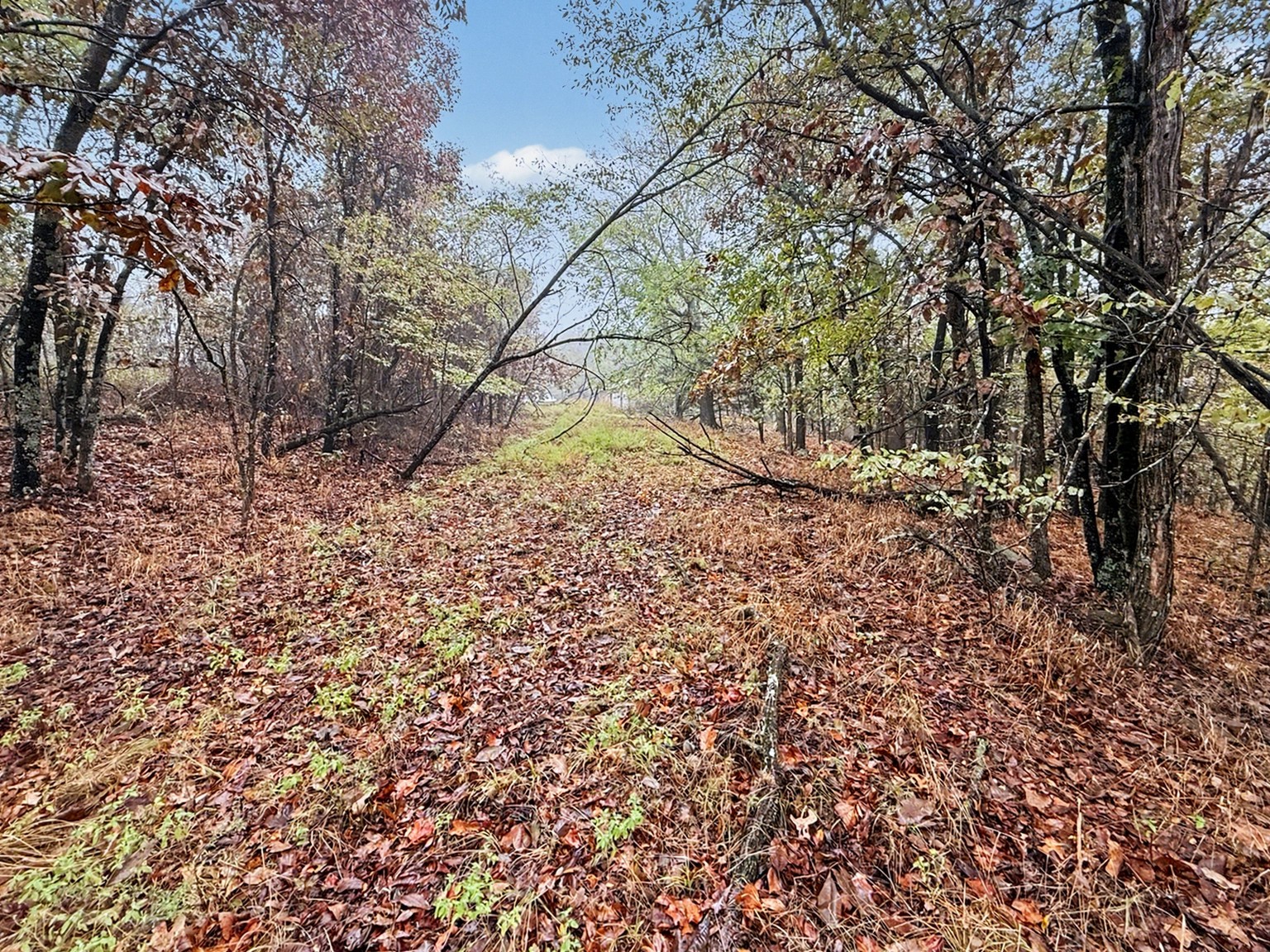 S 4545 Loop Vian OK 74962