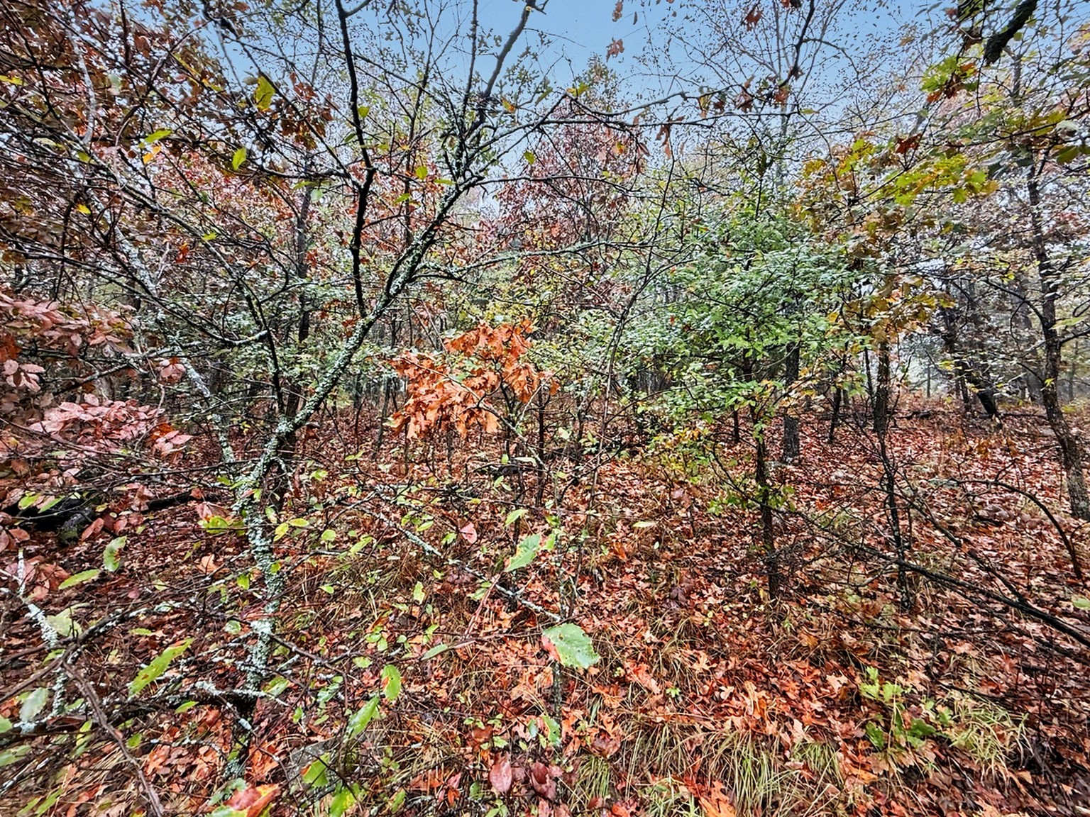 S 4545 Loop Vian OK 74962