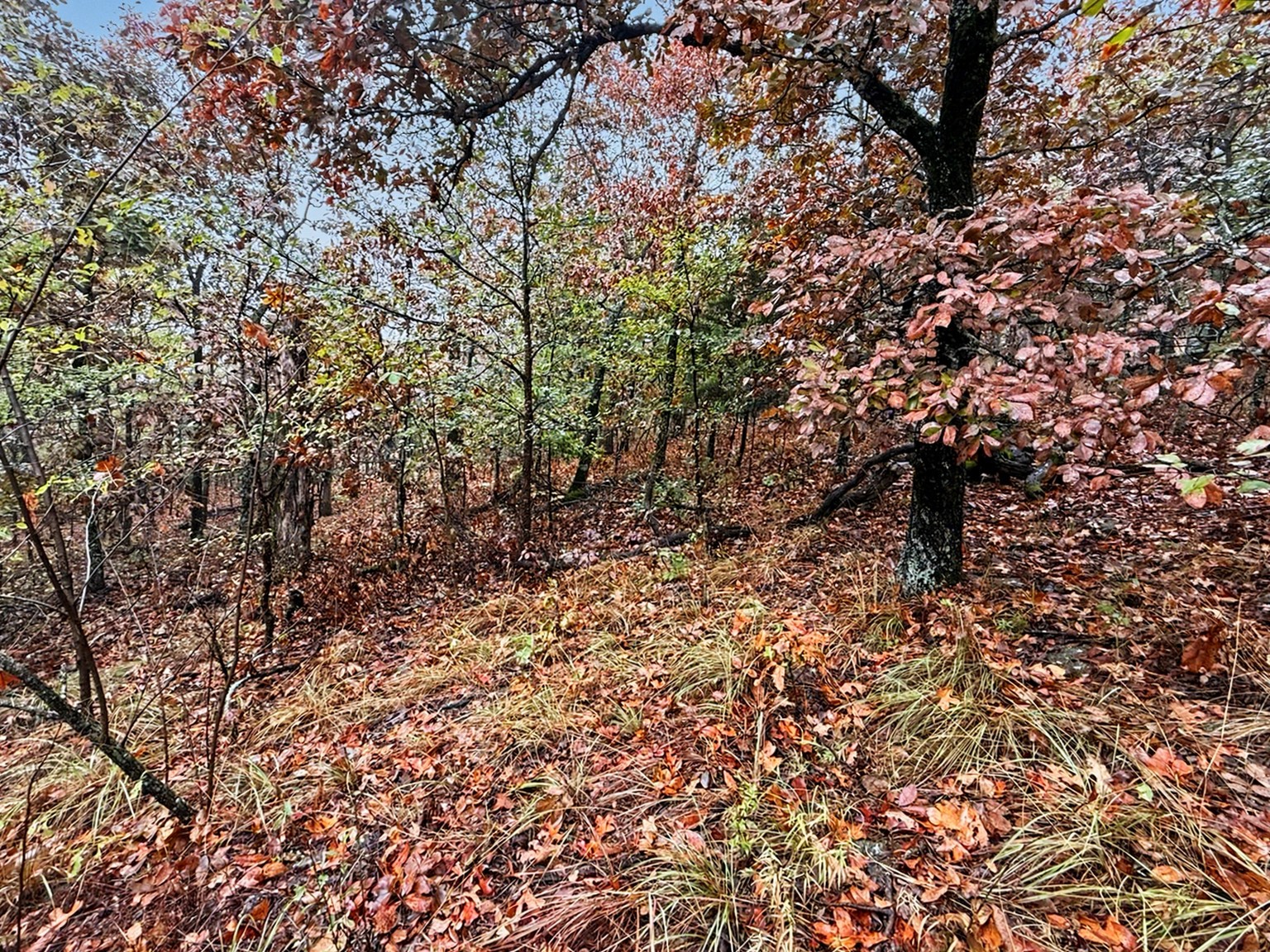 S 4545 Loop Vian OK 74962