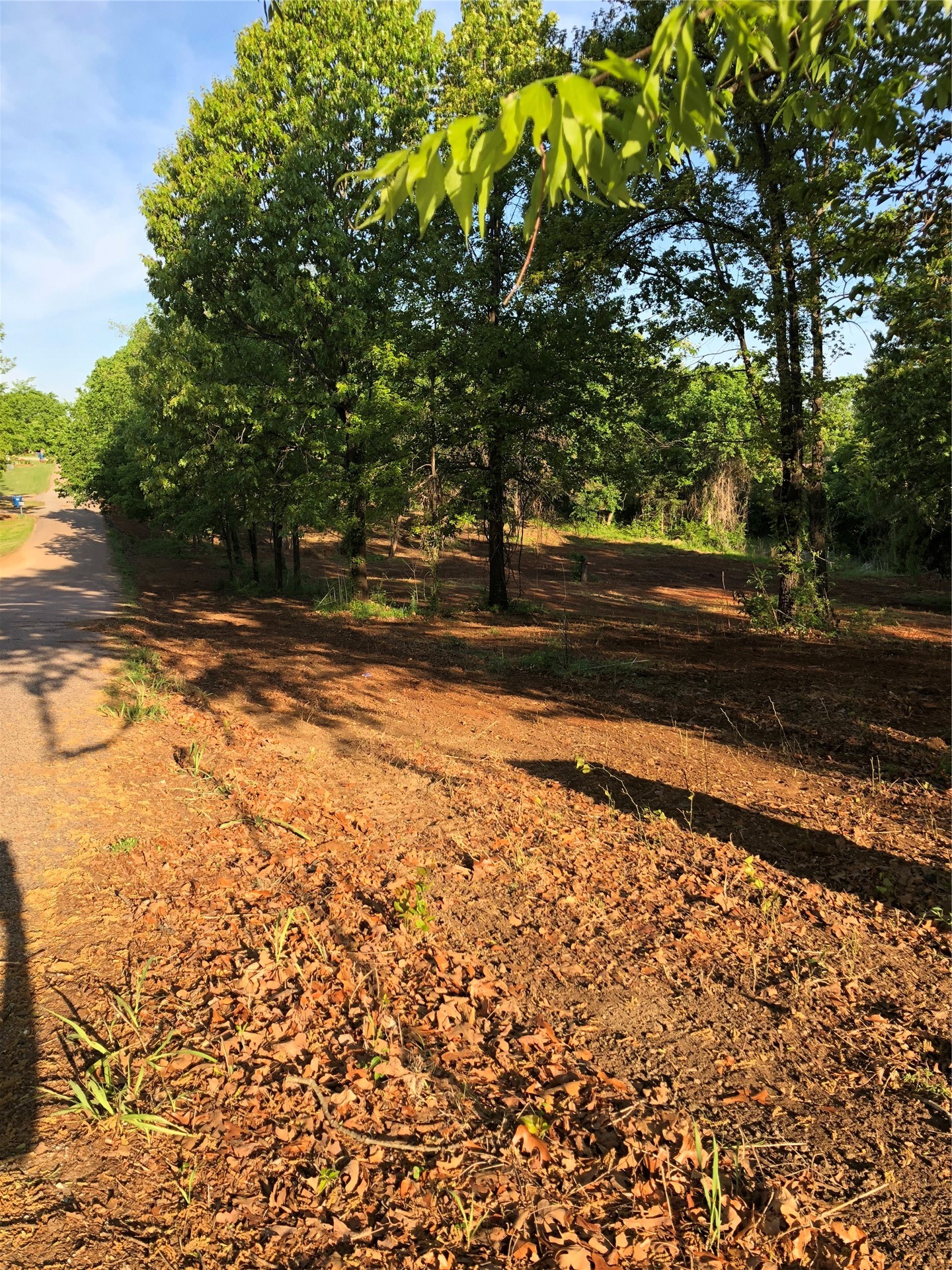 000 Rolling Wood Hills Drive Durant OK 74701
