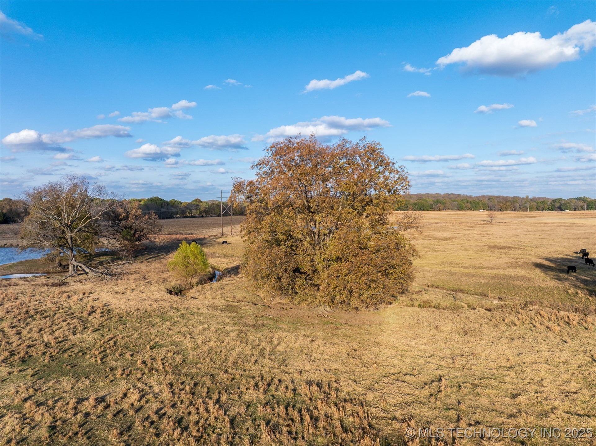 80 S County Road 4440 Mccurtain OK 74944