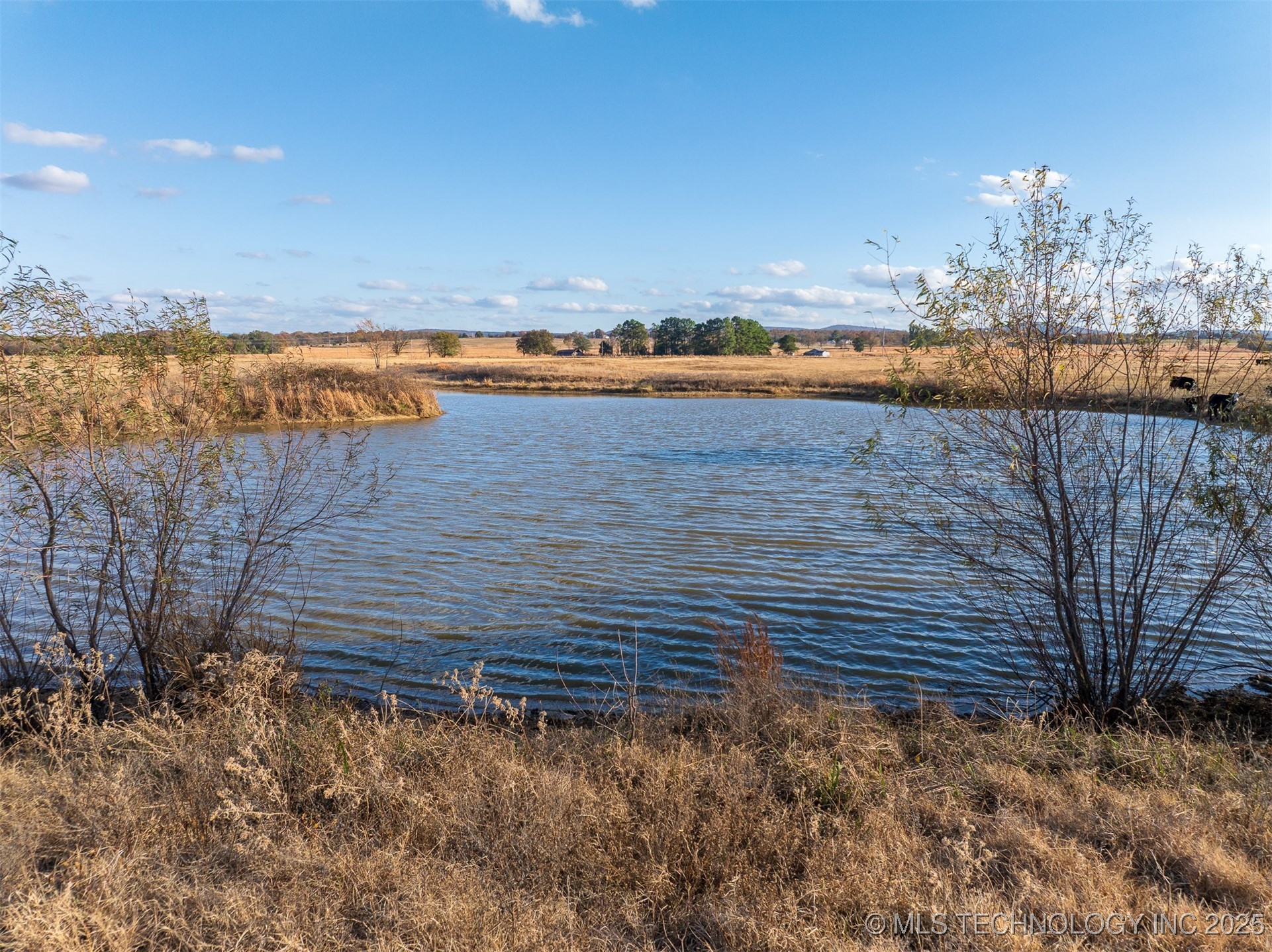 80 S County Road 4440 Mccurtain OK 74944