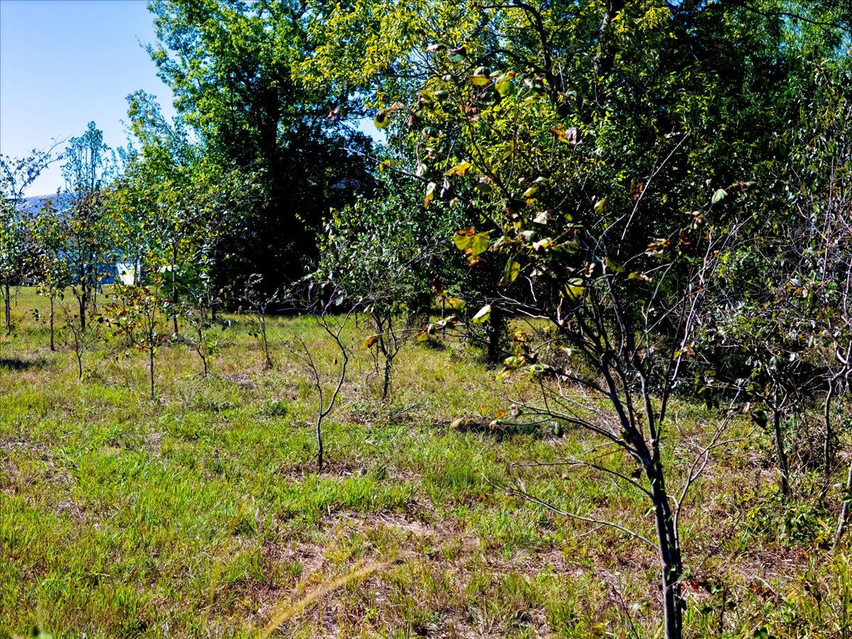 4 N 50th Avenue W Sperry OK 74073