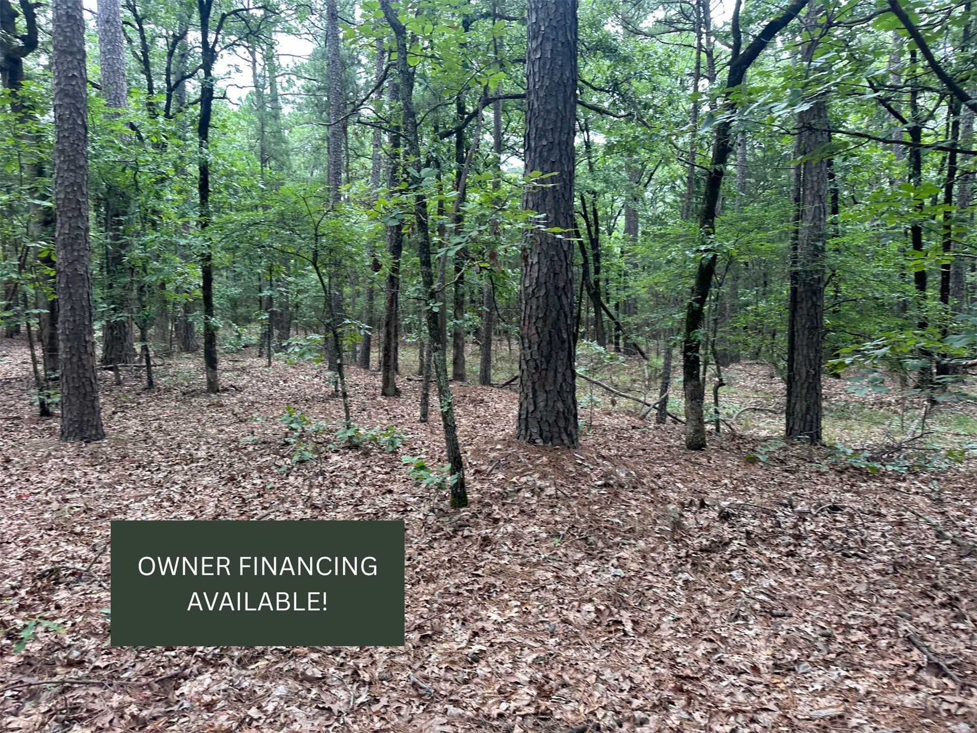 001 Johns Valley Road Moyers OK 74557