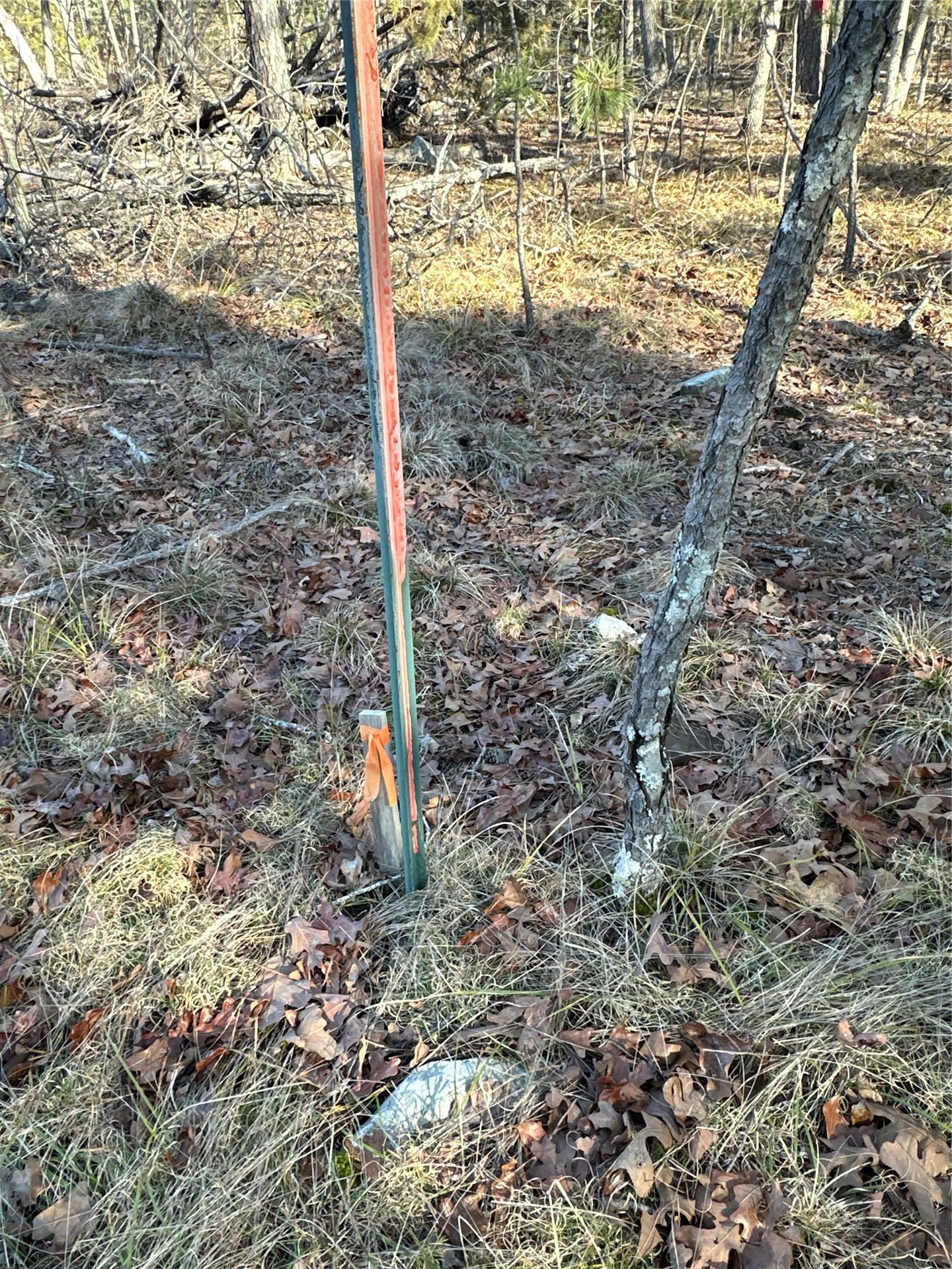 001 Johns Valley Road Moyers OK 74557