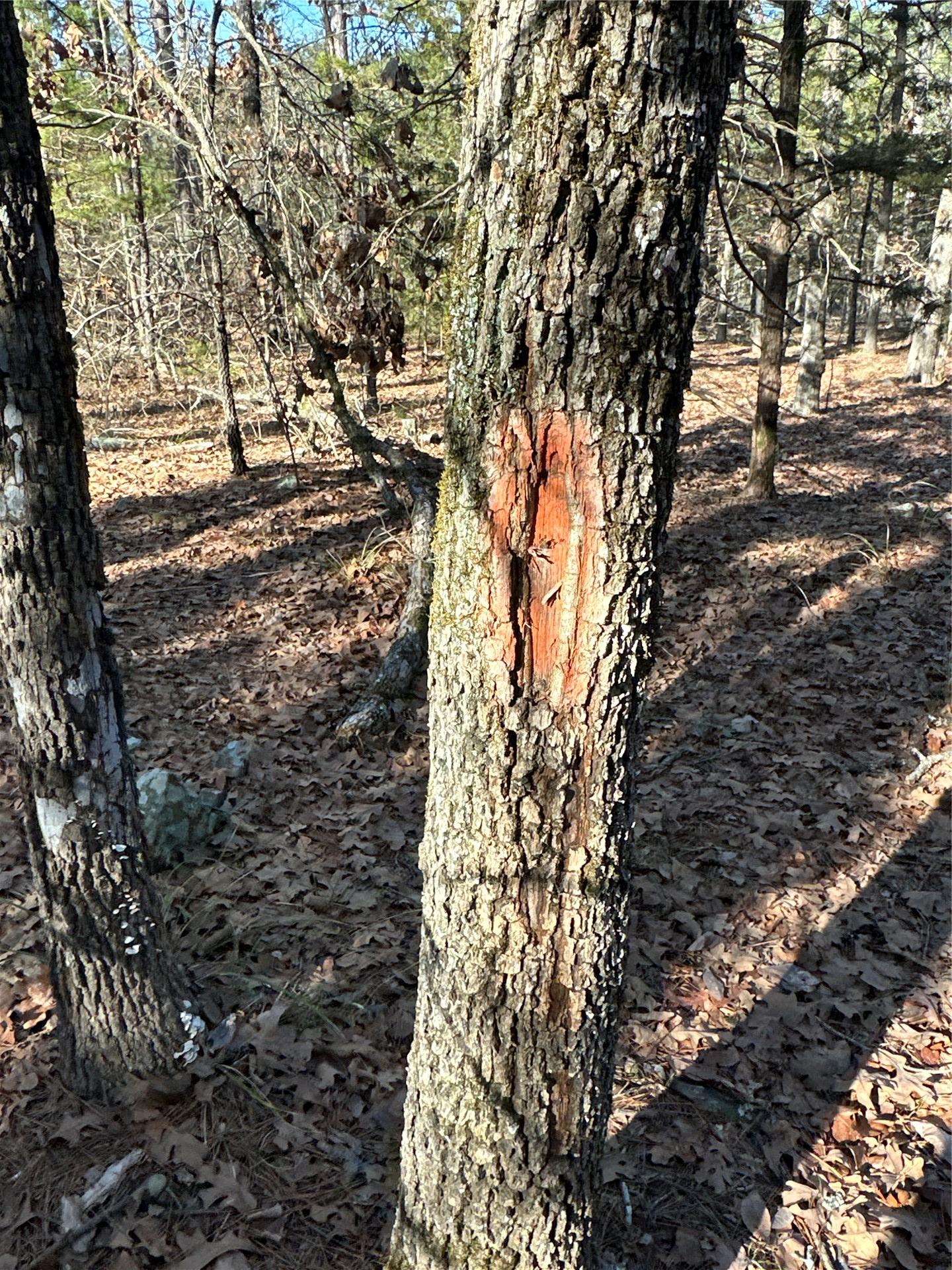 001 Johns Valley Road Moyers OK 74557