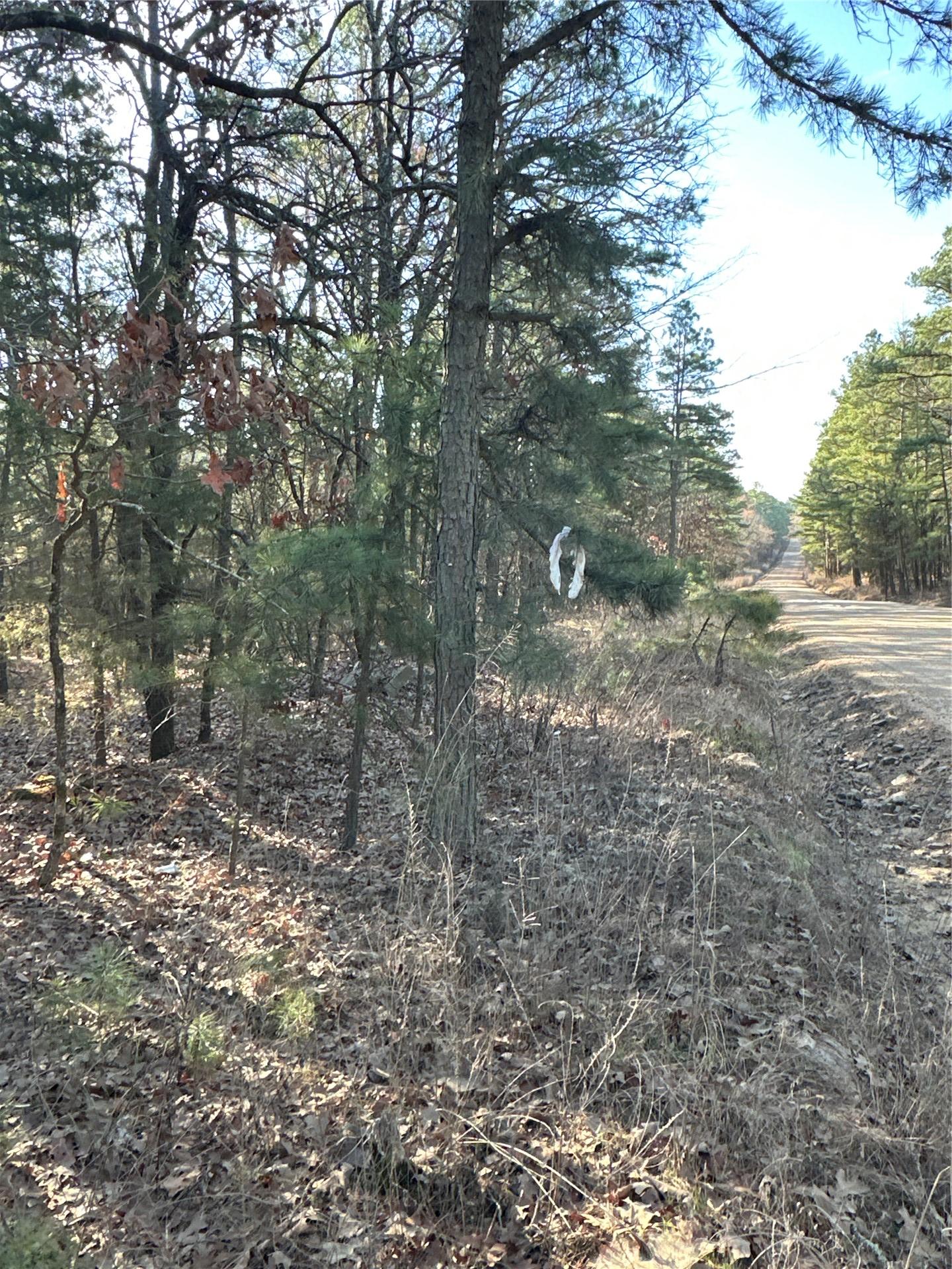 001 Johns Valley Road Moyers OK 74557