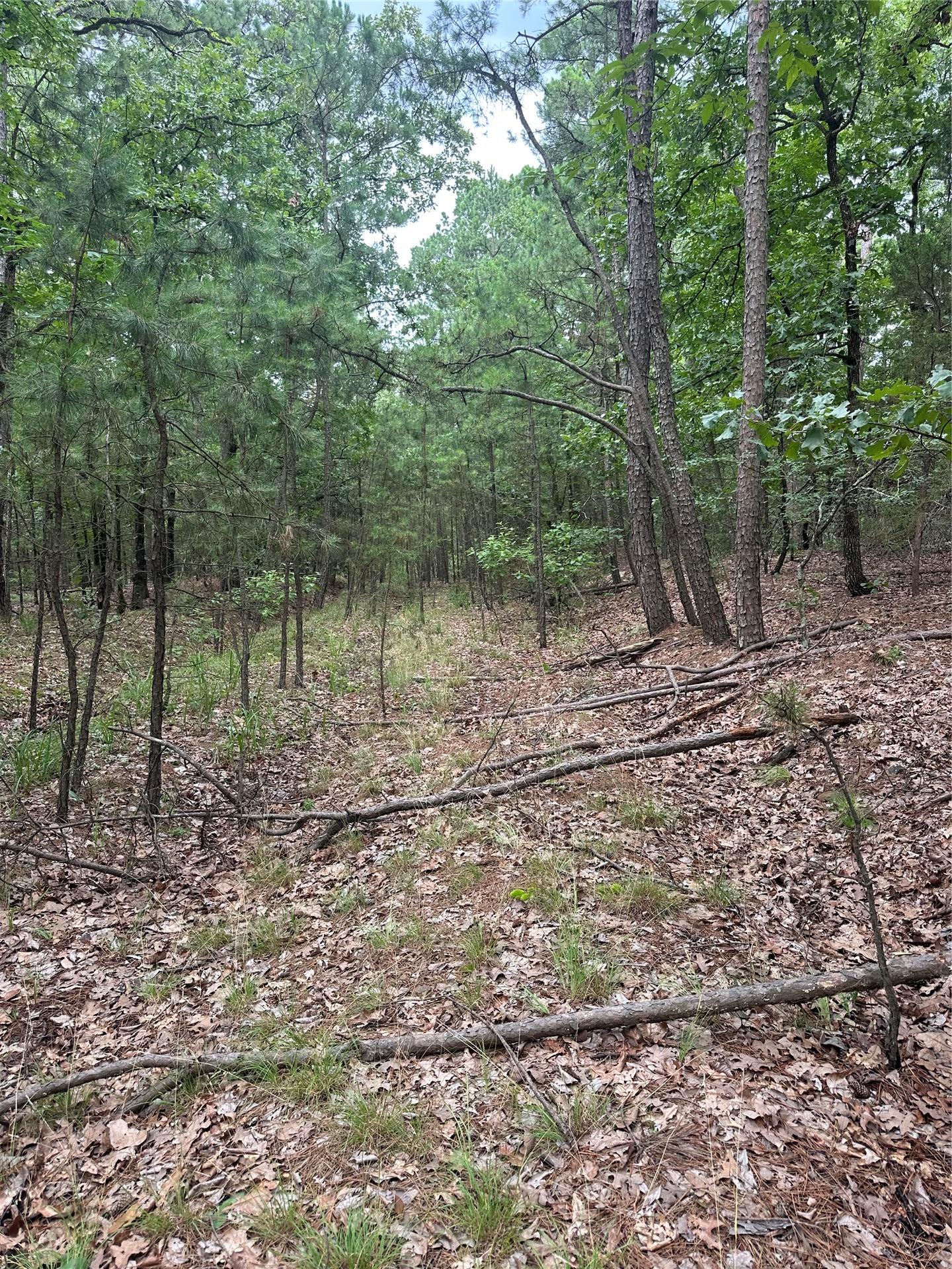 001 Johns Valley Road Moyers OK 74557