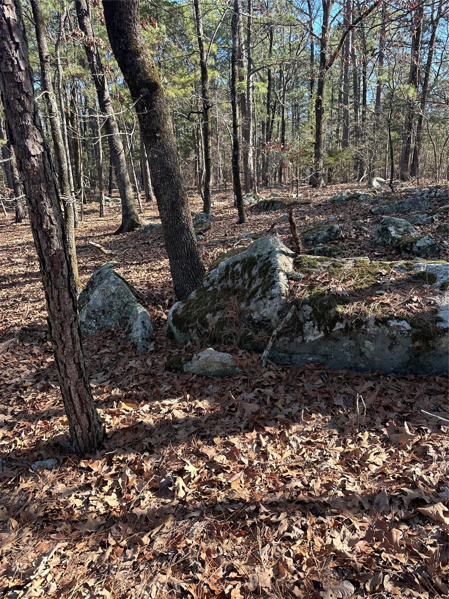 001 Johns Valley Road Moyers OK 74557