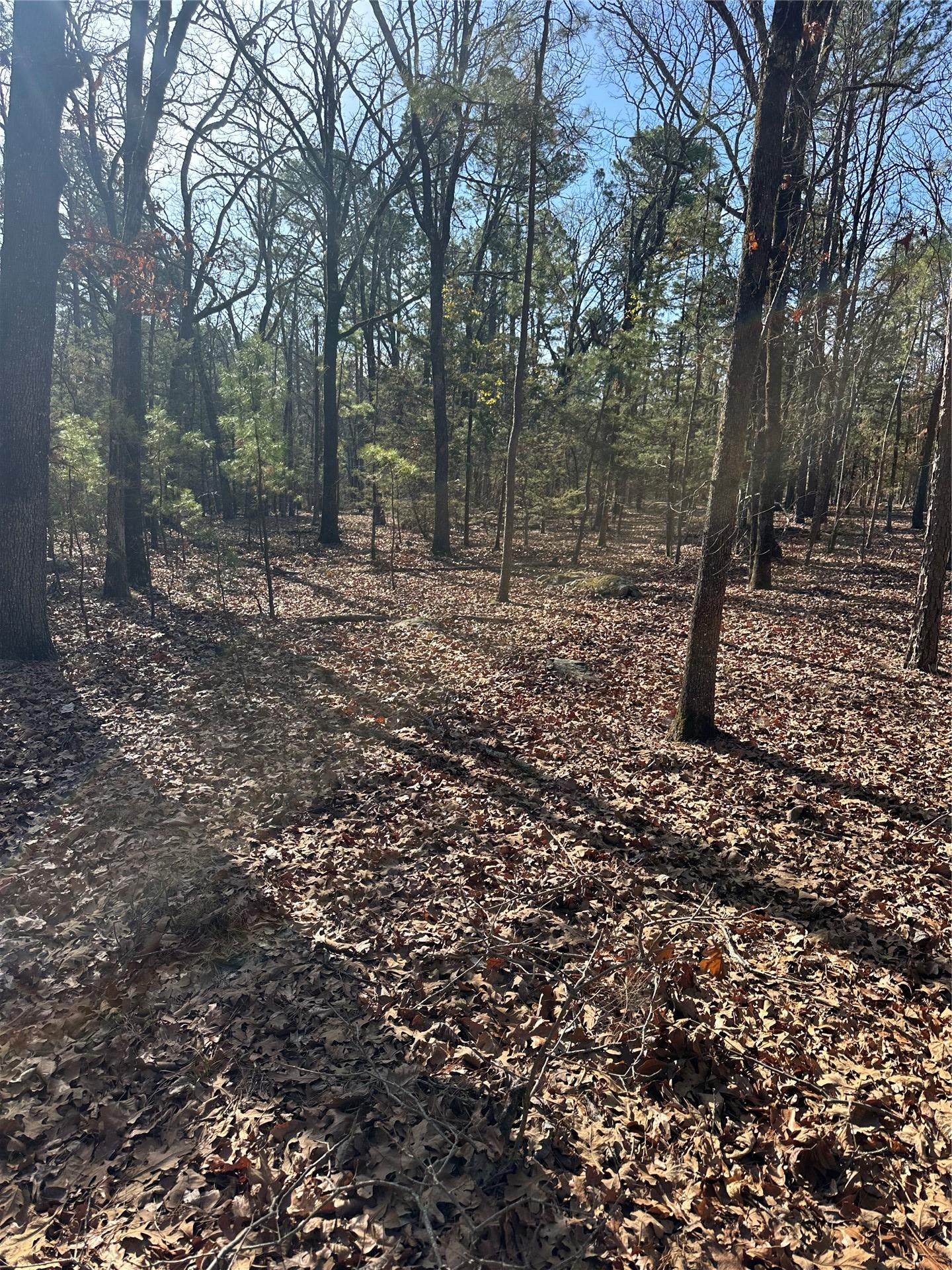 001 Johns Valley Road Moyers OK 74557