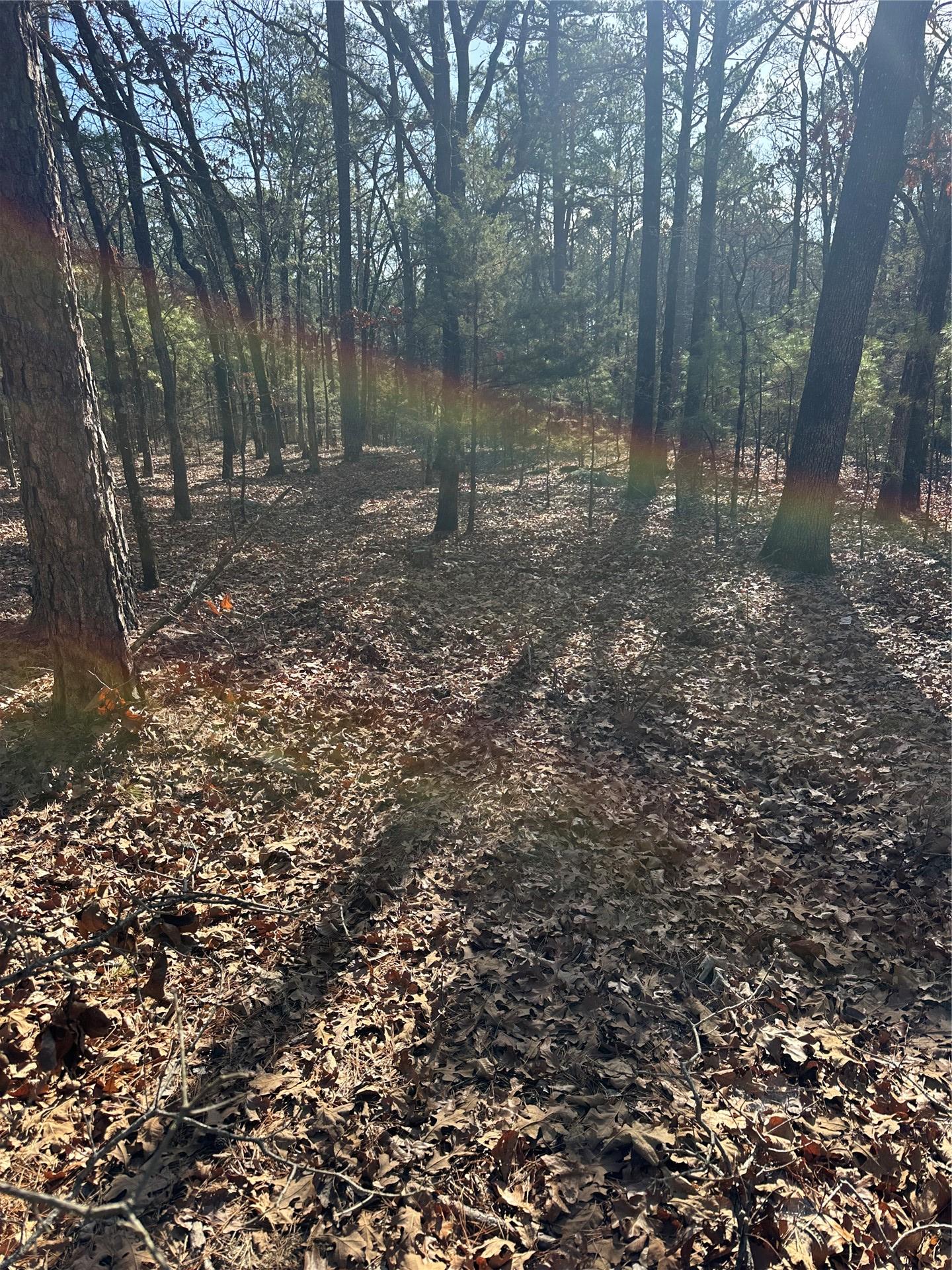 001 Johns Valley Road Moyers OK 74557
