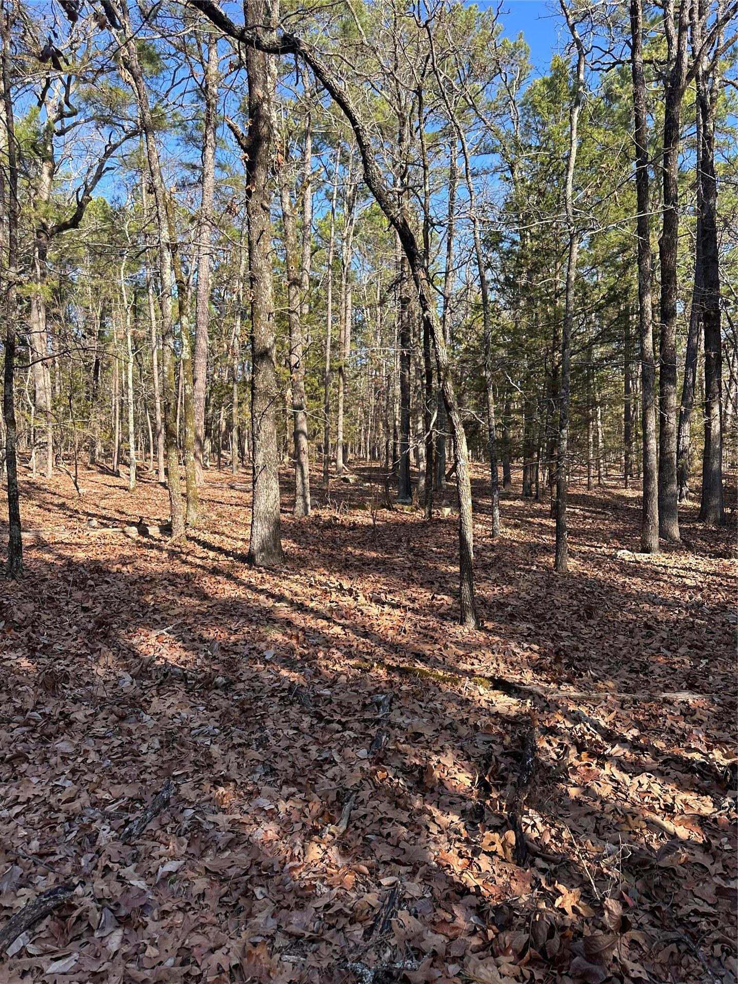 001 Johns Valley Road Moyers OK 74557