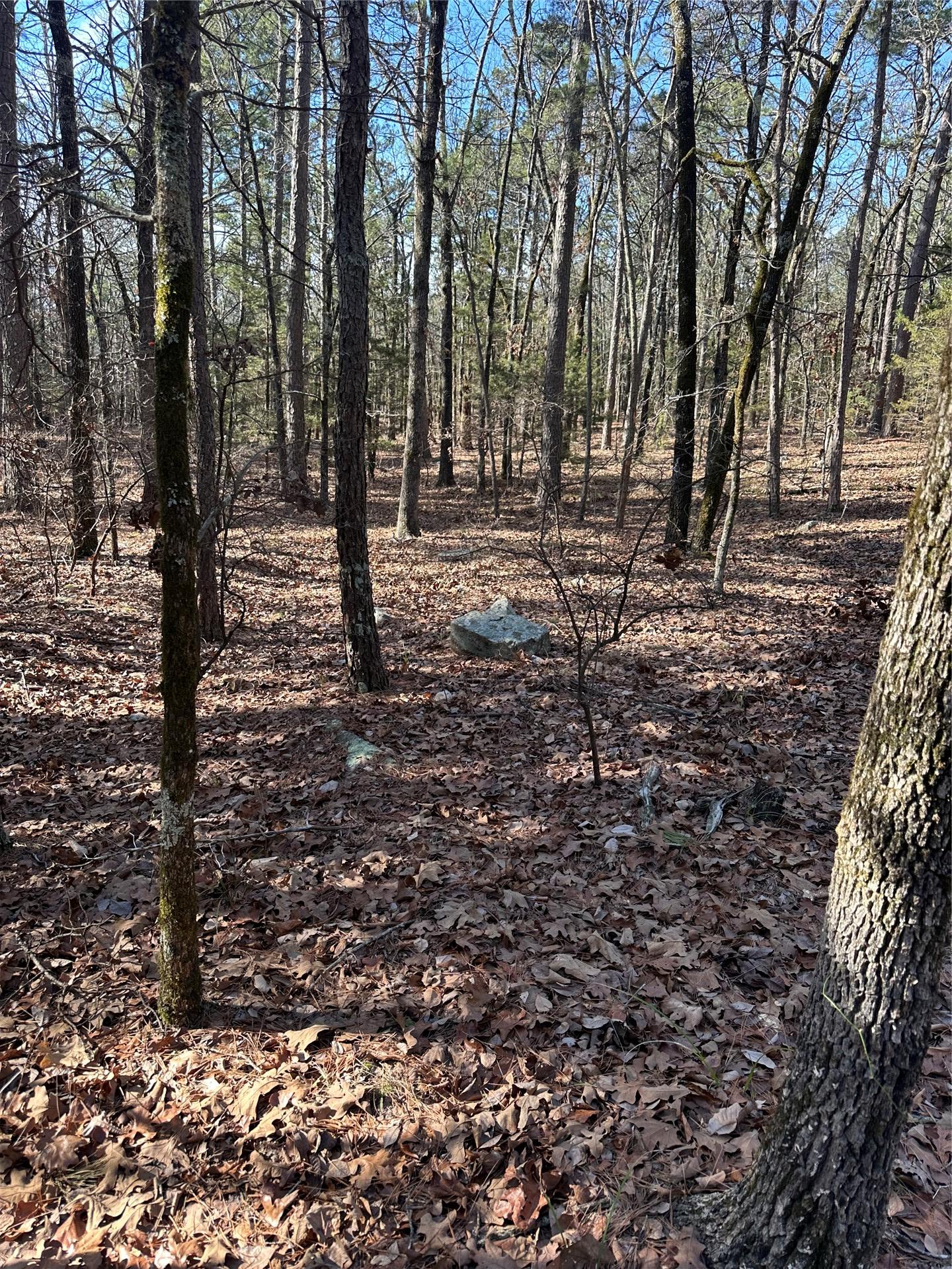 001 Johns Valley Road Moyers OK 74557