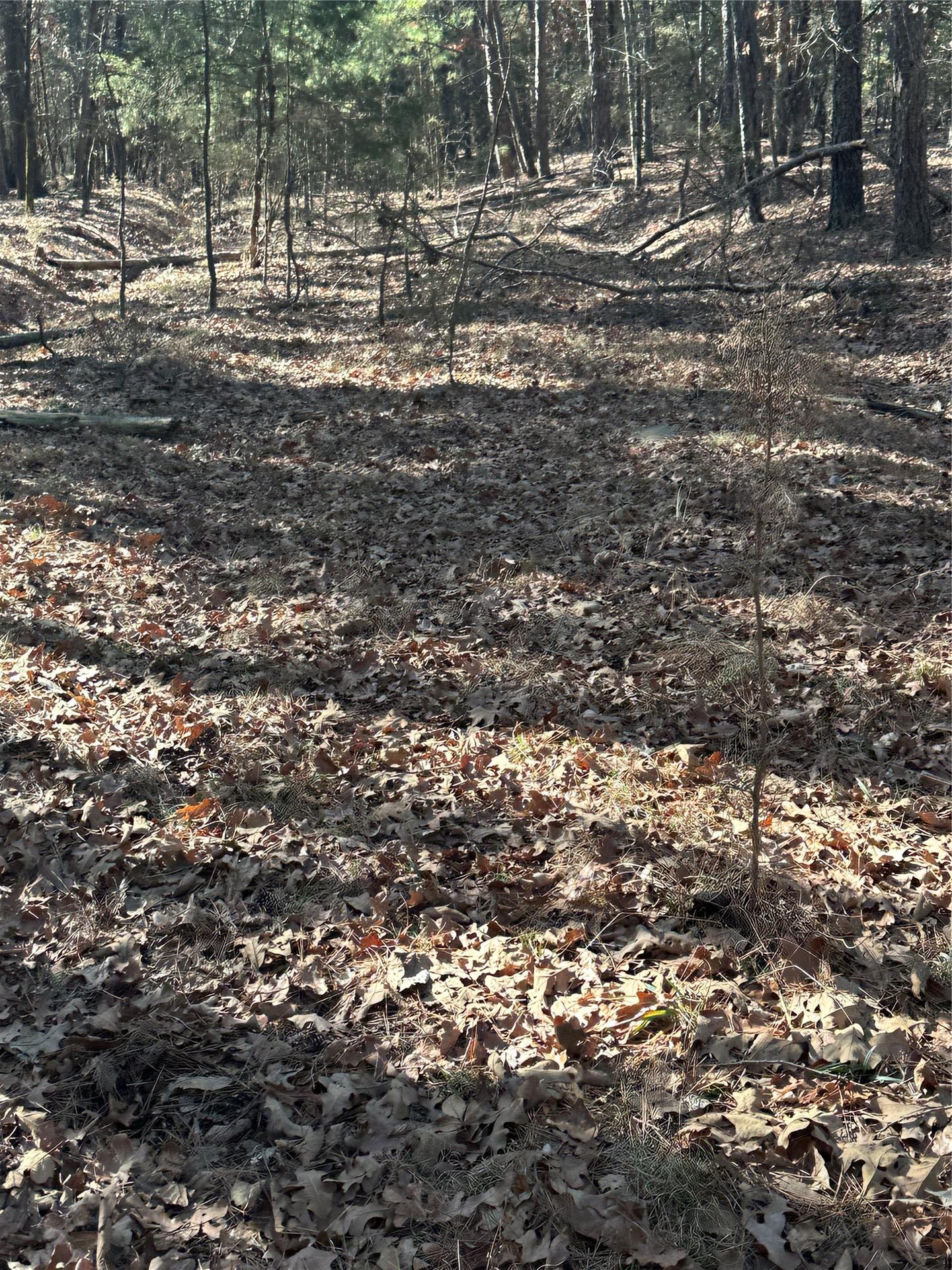 001 Johns Valley Road Moyers OK 74557