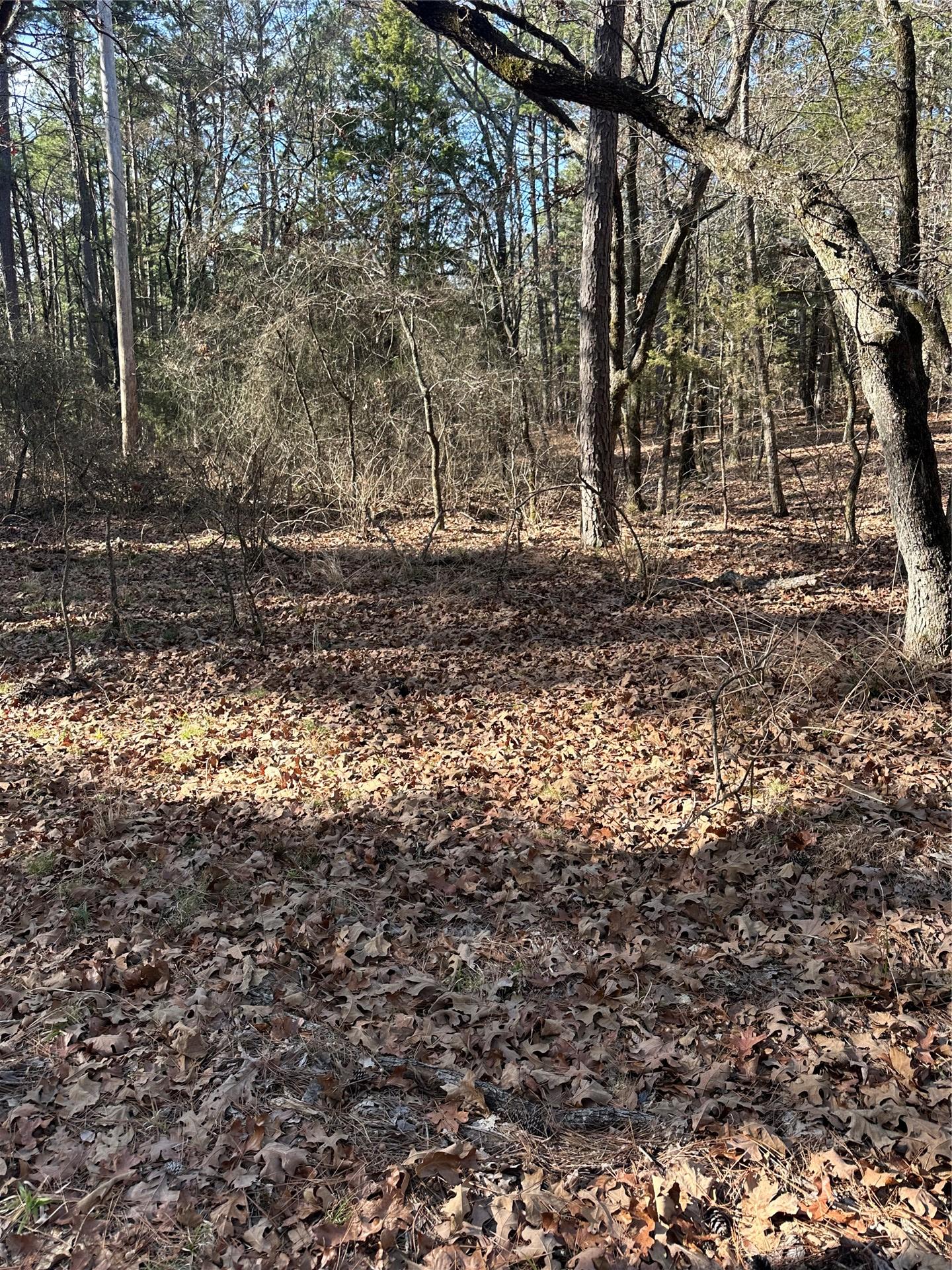 001 Johns Valley Road Moyers OK 74557