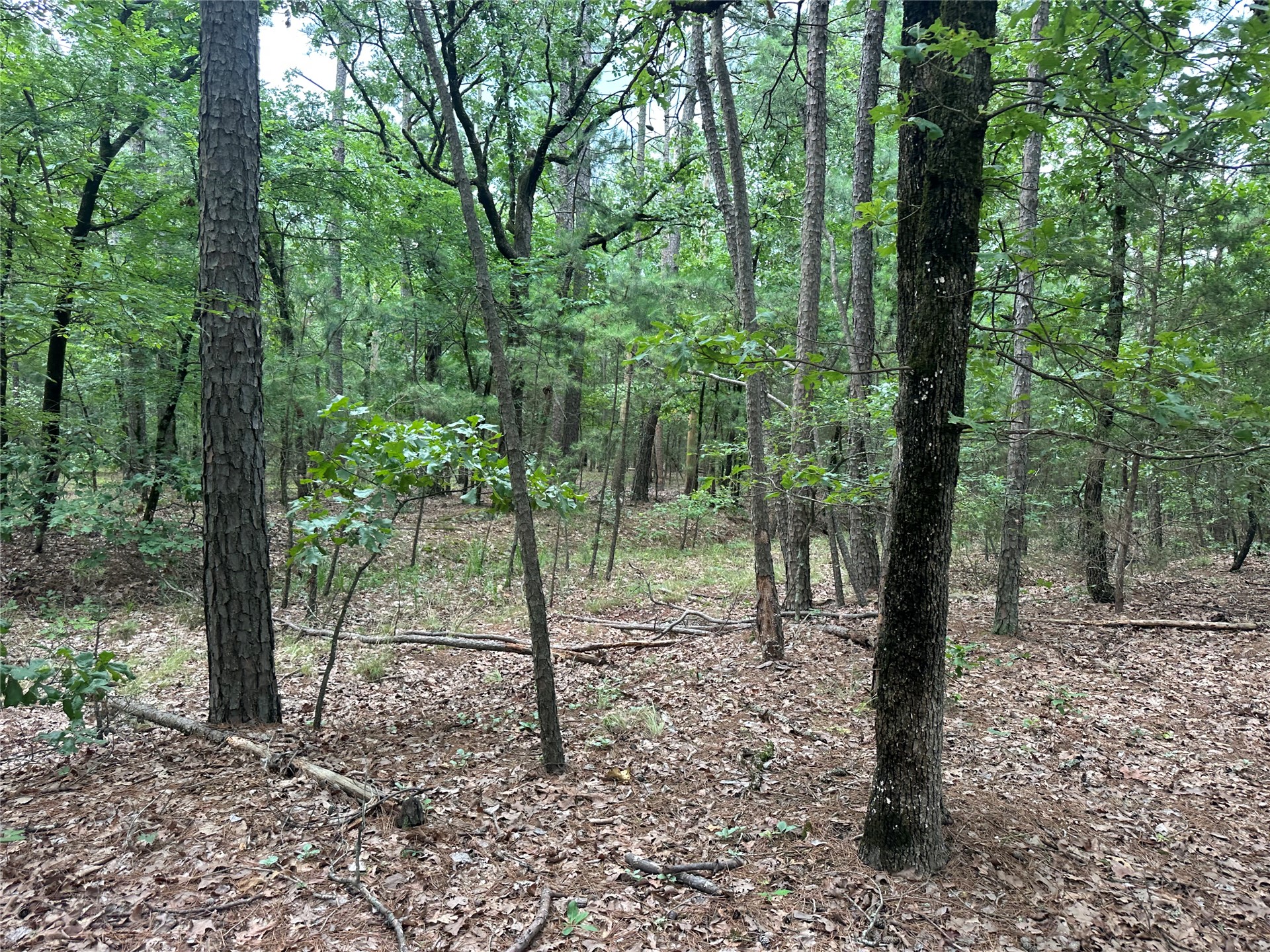 001 Johns Valley Road Moyers OK 74557